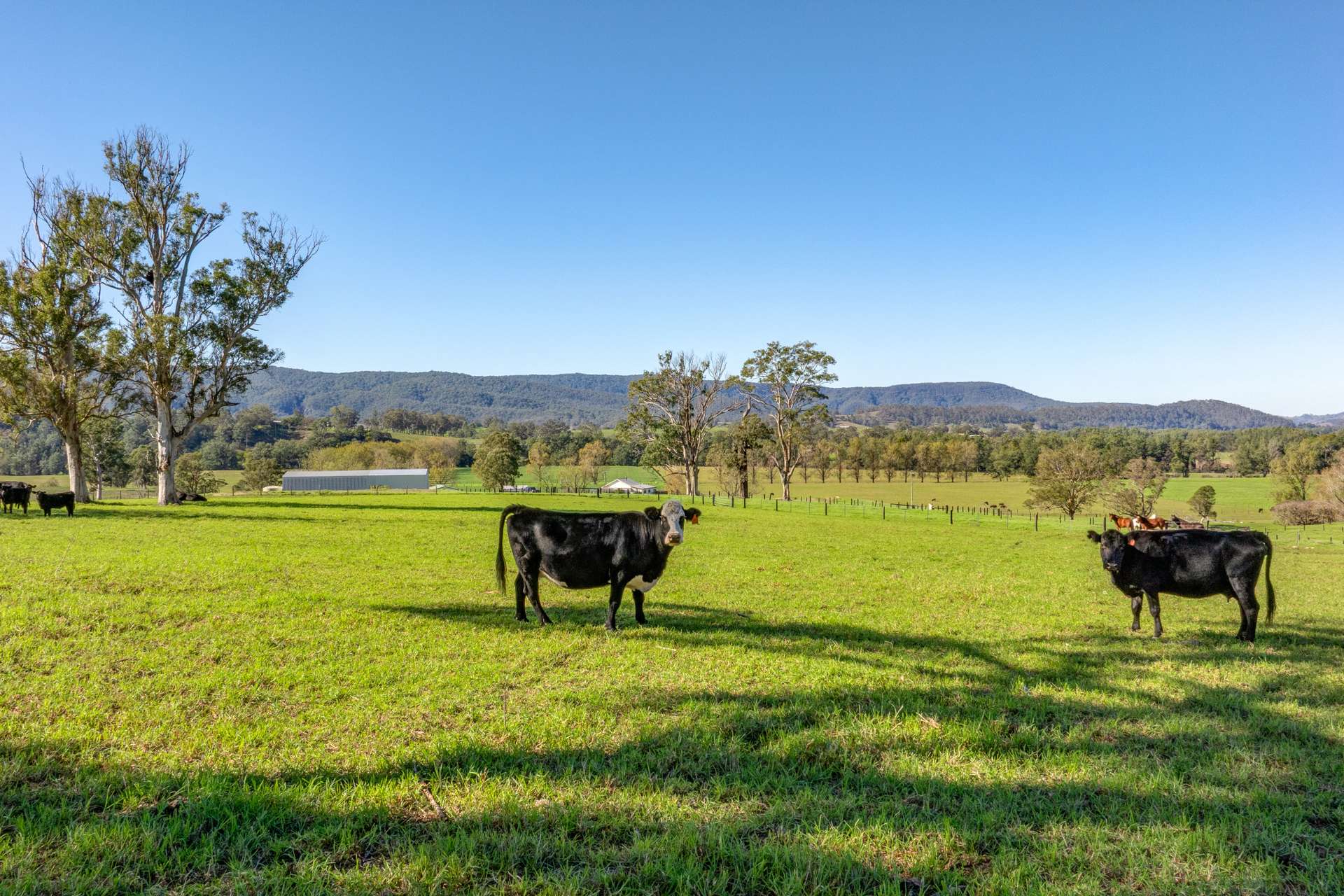 1301 Chichester Dam Road, Dungog For Sale by Farmbuy.com - image 28