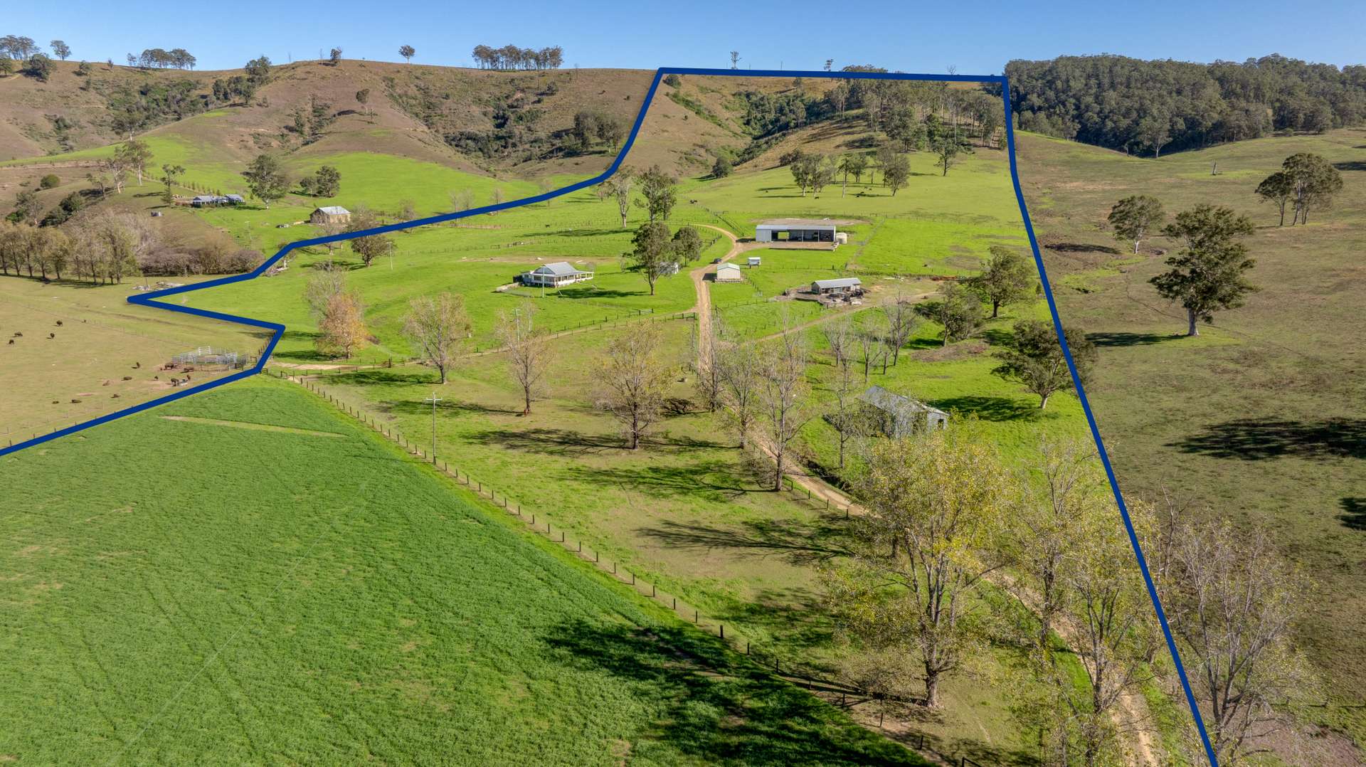 1301 Chichester Dam Road, Dungog For Sale by Farmbuy.com - image 1