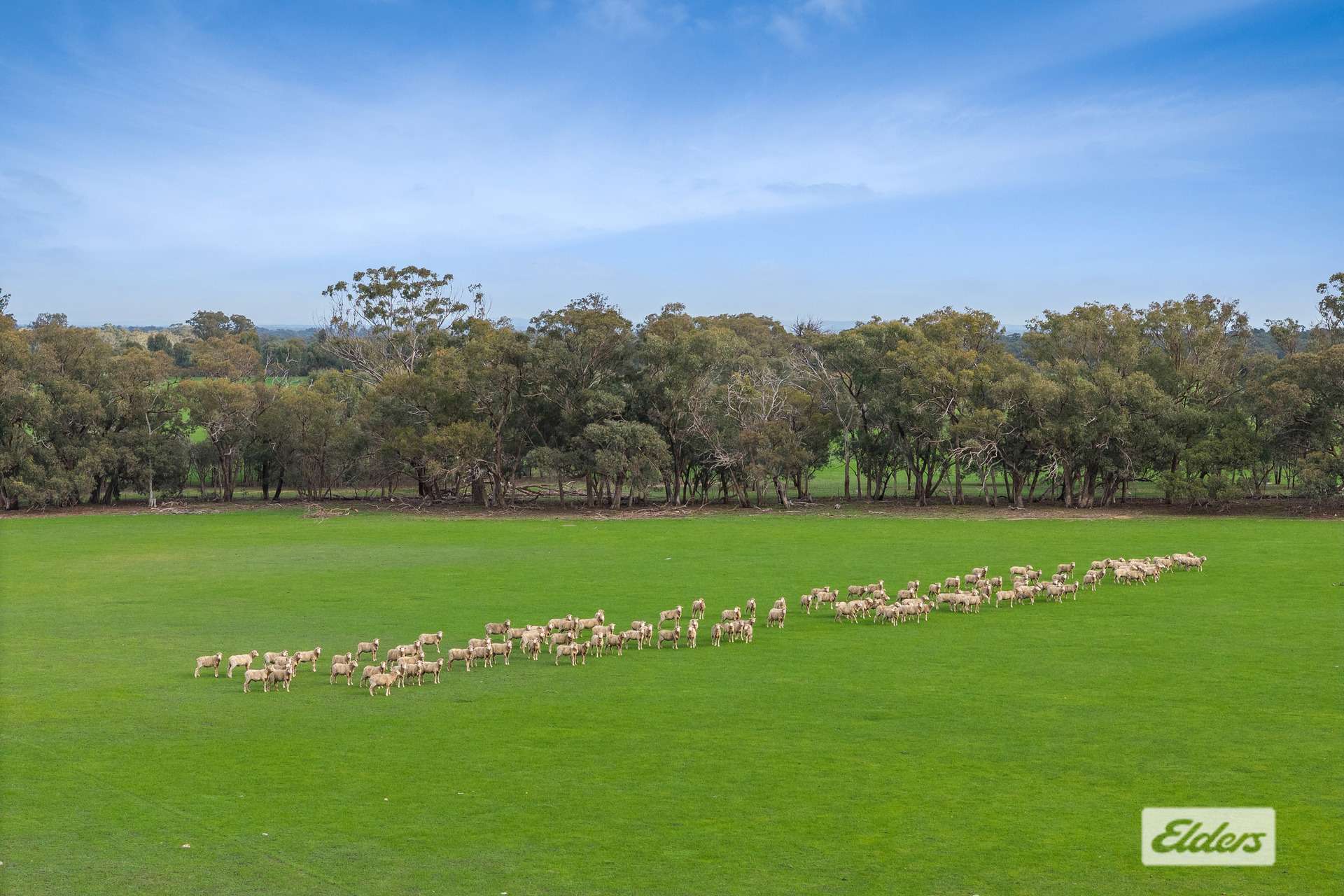 Lot 4 & 27,  Derrinal-Crosbie Road, Toolleen For Sale by Farmbuy.com - image 3