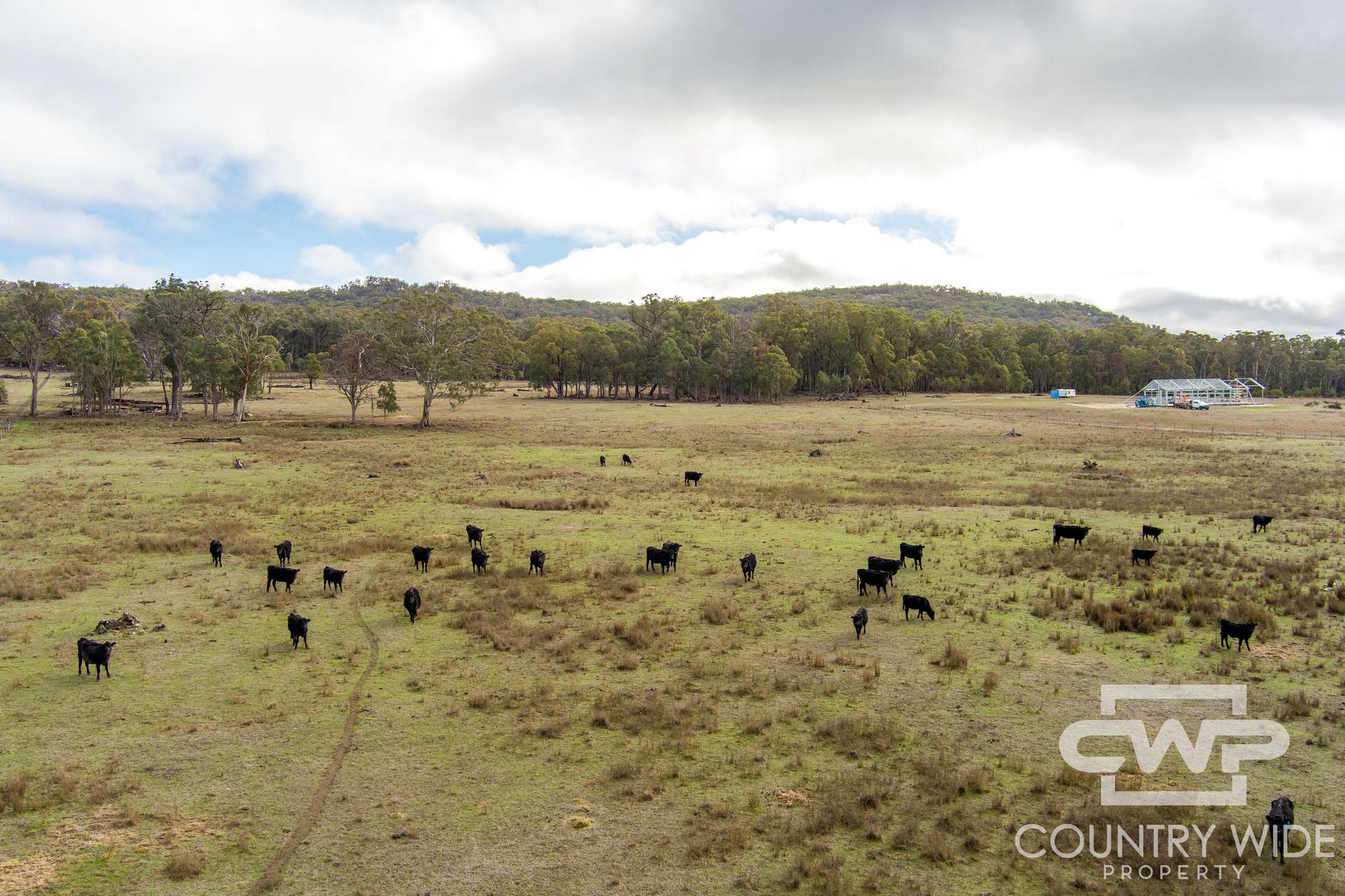 1642 Torrington Road, Stannum For Sale by Farmbuy.com - image 6