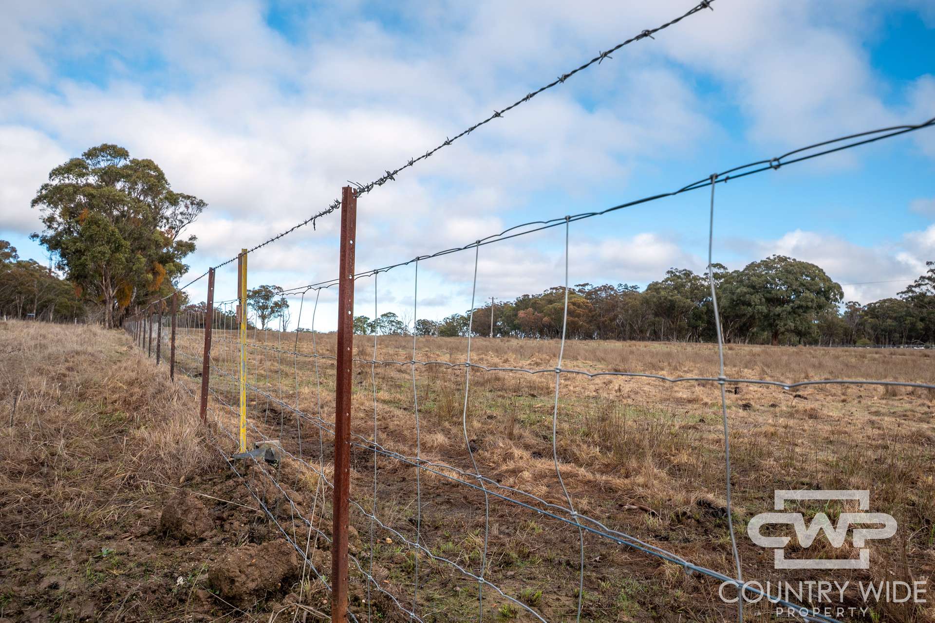 1642 Torrington Road, Stannum For Sale by Farmbuy.com - image 3