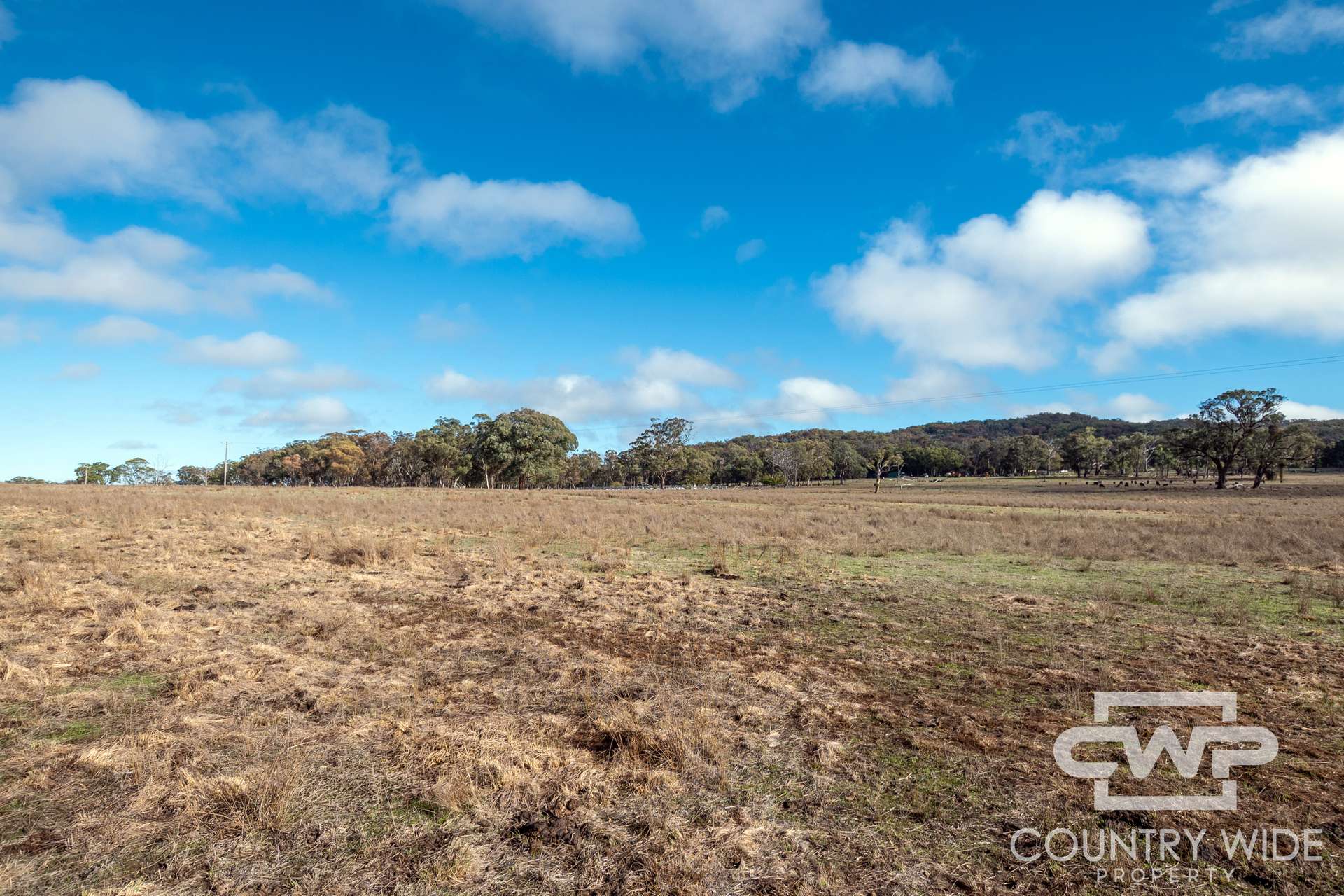 1642 Torrington Road, Stannum For Sale by Farmbuy.com - image 9