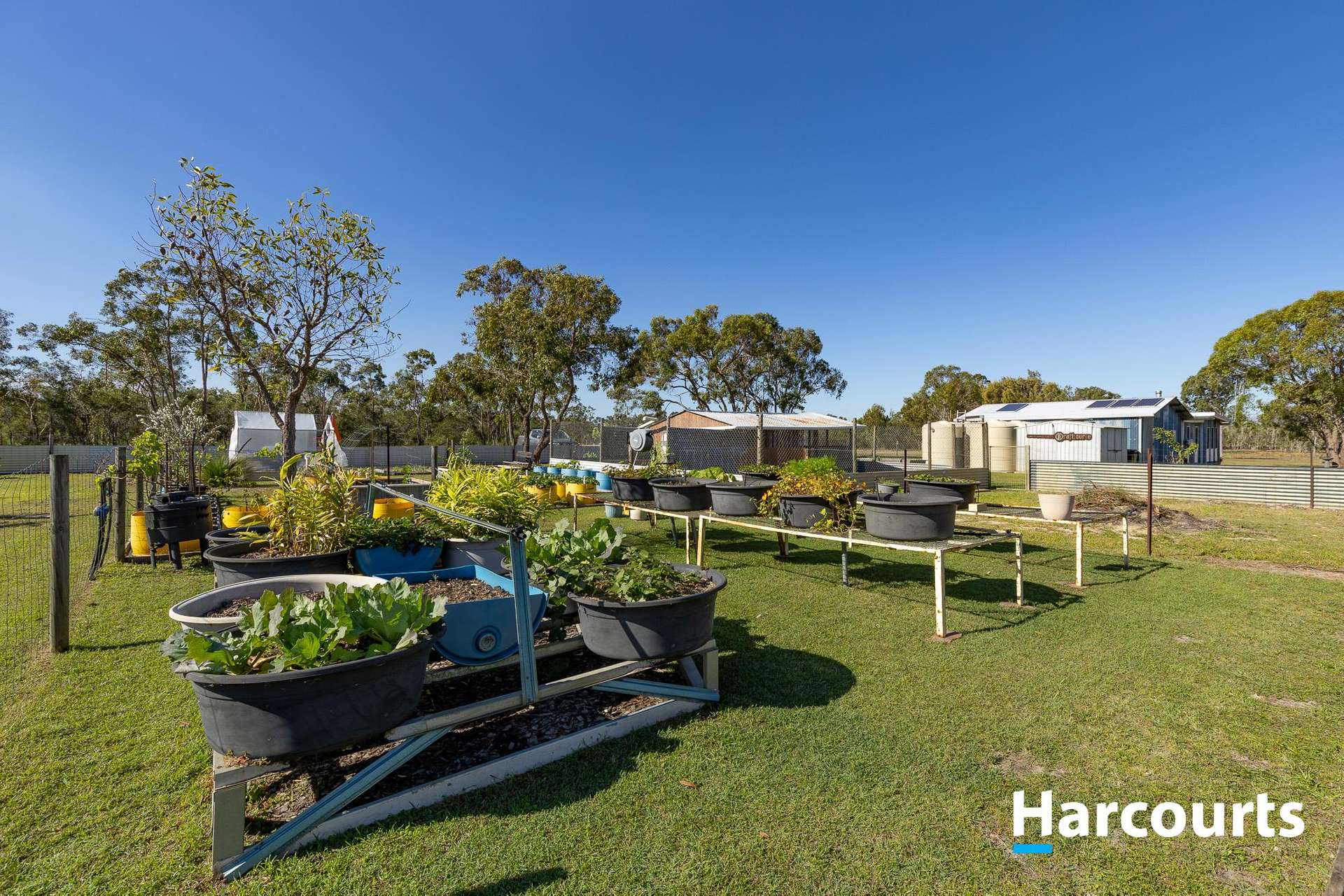 332 Pioneer Road, Buxton For Sale by Farmbuy.com - image 26