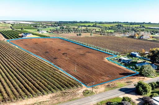 Farm For Sale - SA - Renmark - 5341 - Your Blank Canvas Awaits 