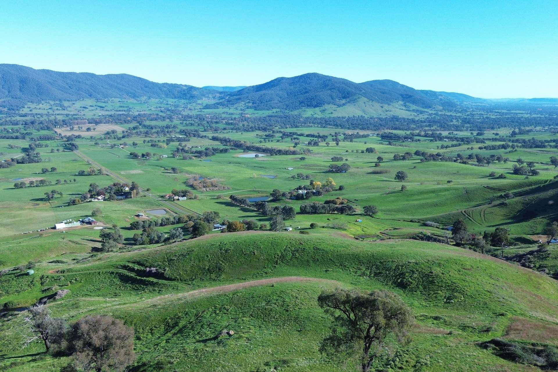 Reid Lane, Gundowring For Sale by Farmbuy.com - image 14