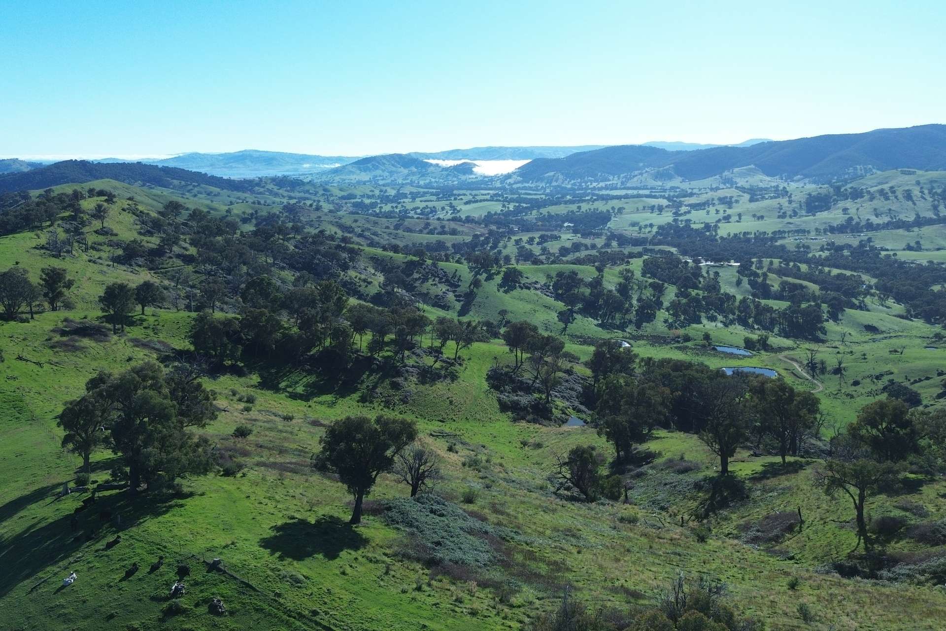 Reid Lane, Gundowring For Sale by Farmbuy.com - image 16