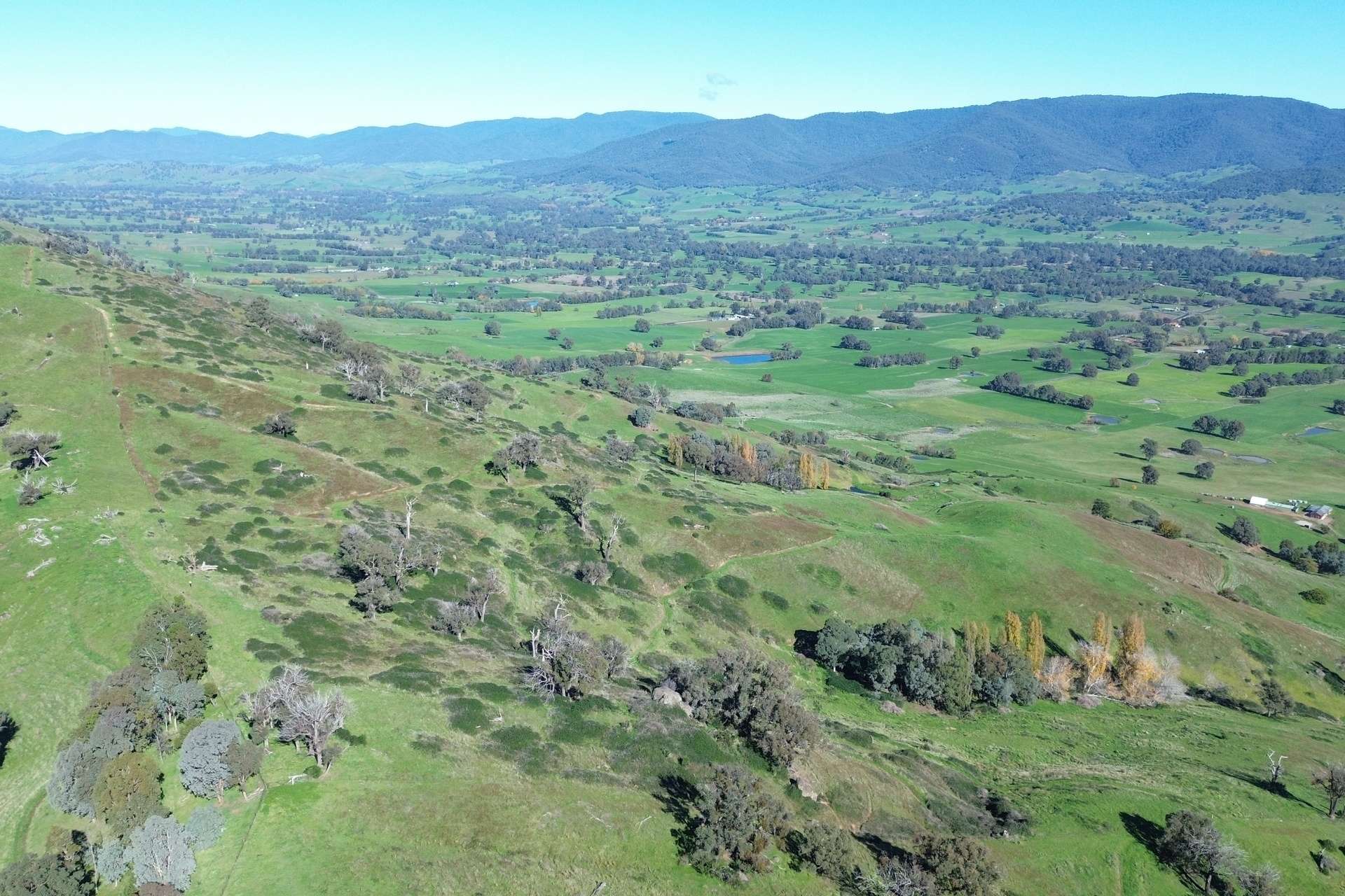 Reid Lane, Gundowring For Sale by Farmbuy.com - image 19