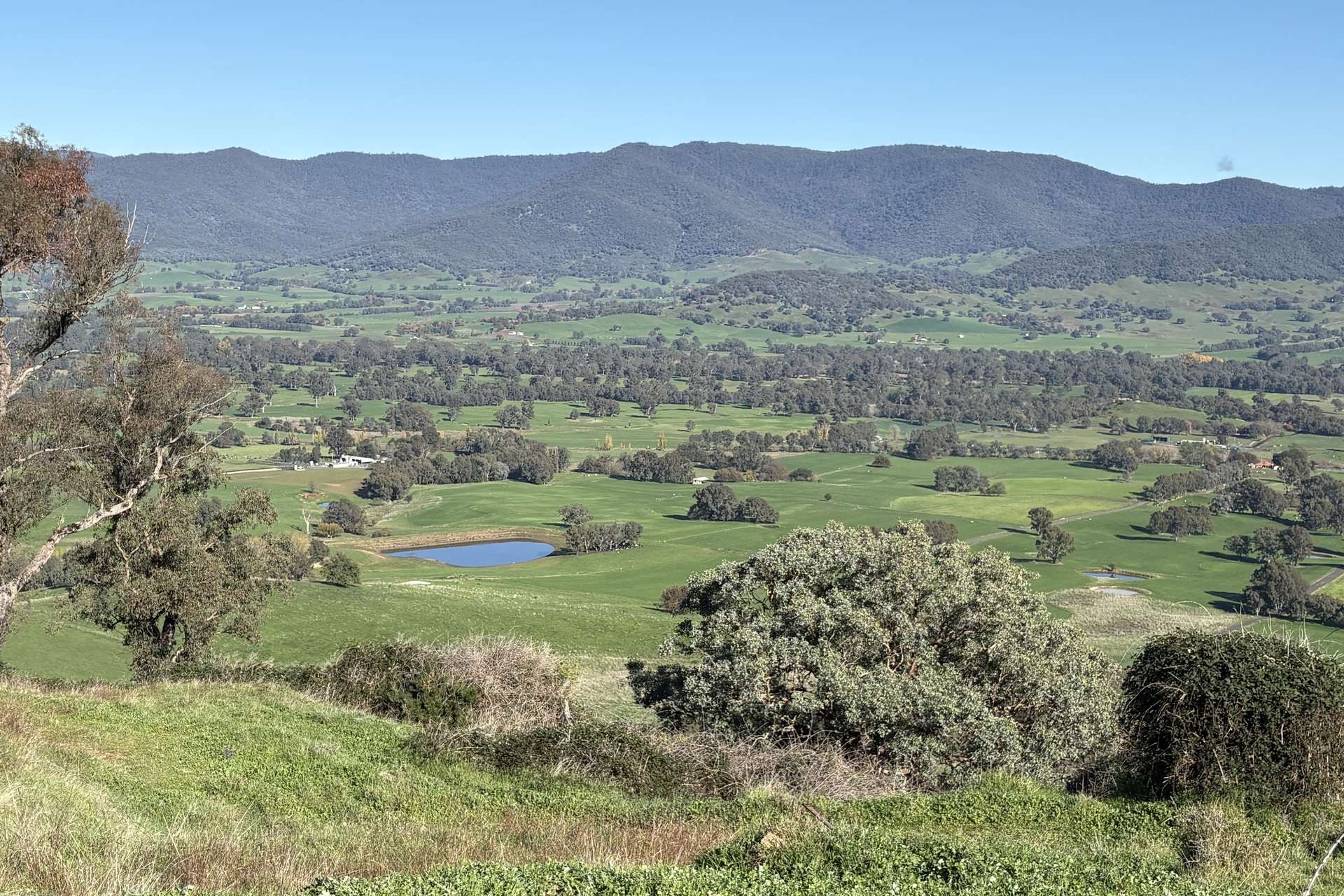 Reid Lane, Gundowring For Sale by Farmbuy.com - image 2