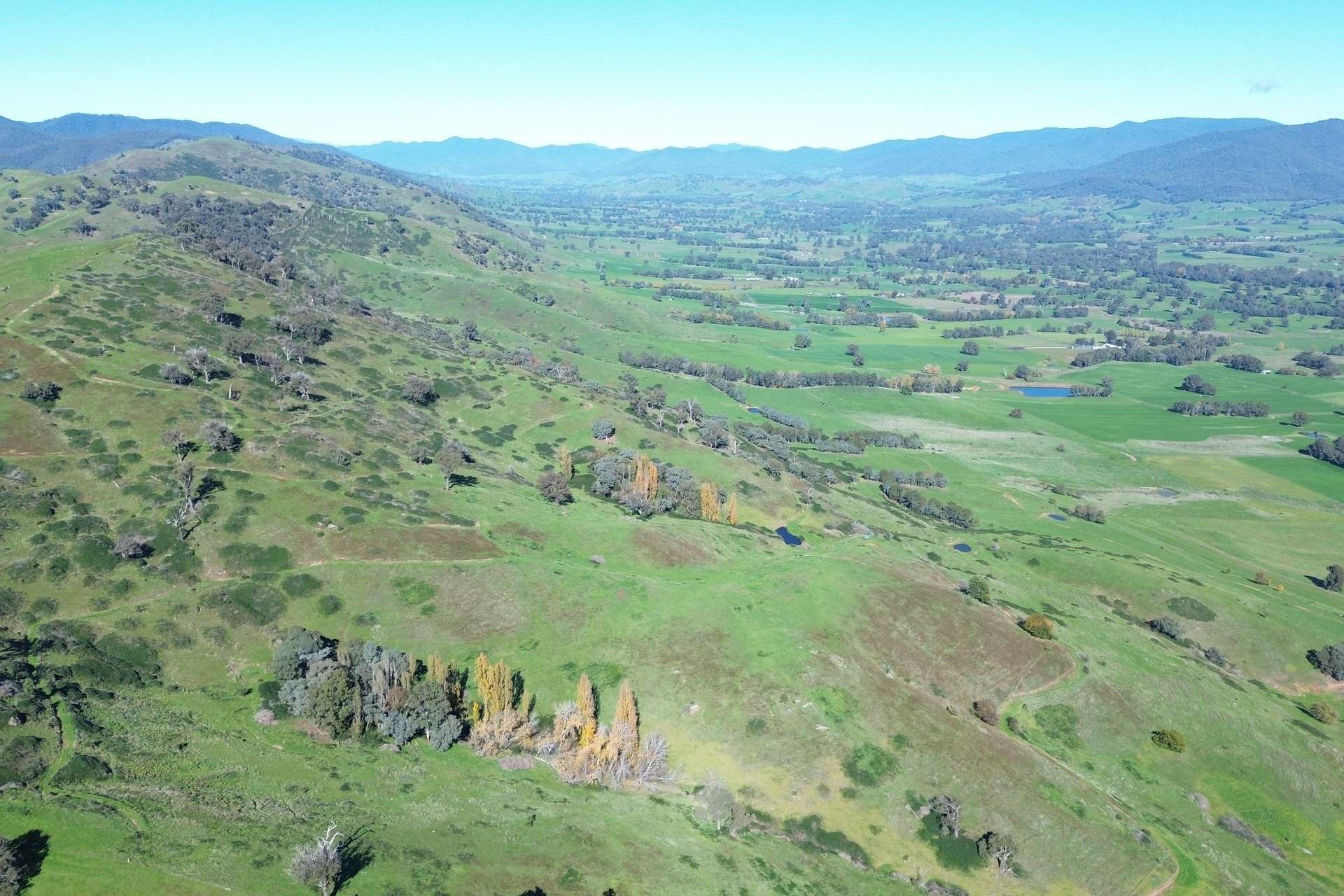 Reid Lane, Gundowring For Sale by Farmbuy.com - image 21