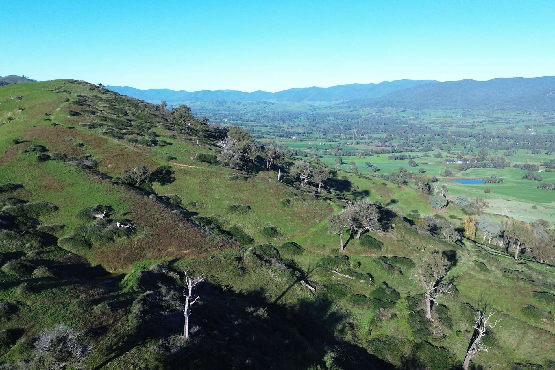 Reid Lane, Gundowring For Sale by Farmbuy.com - image 6