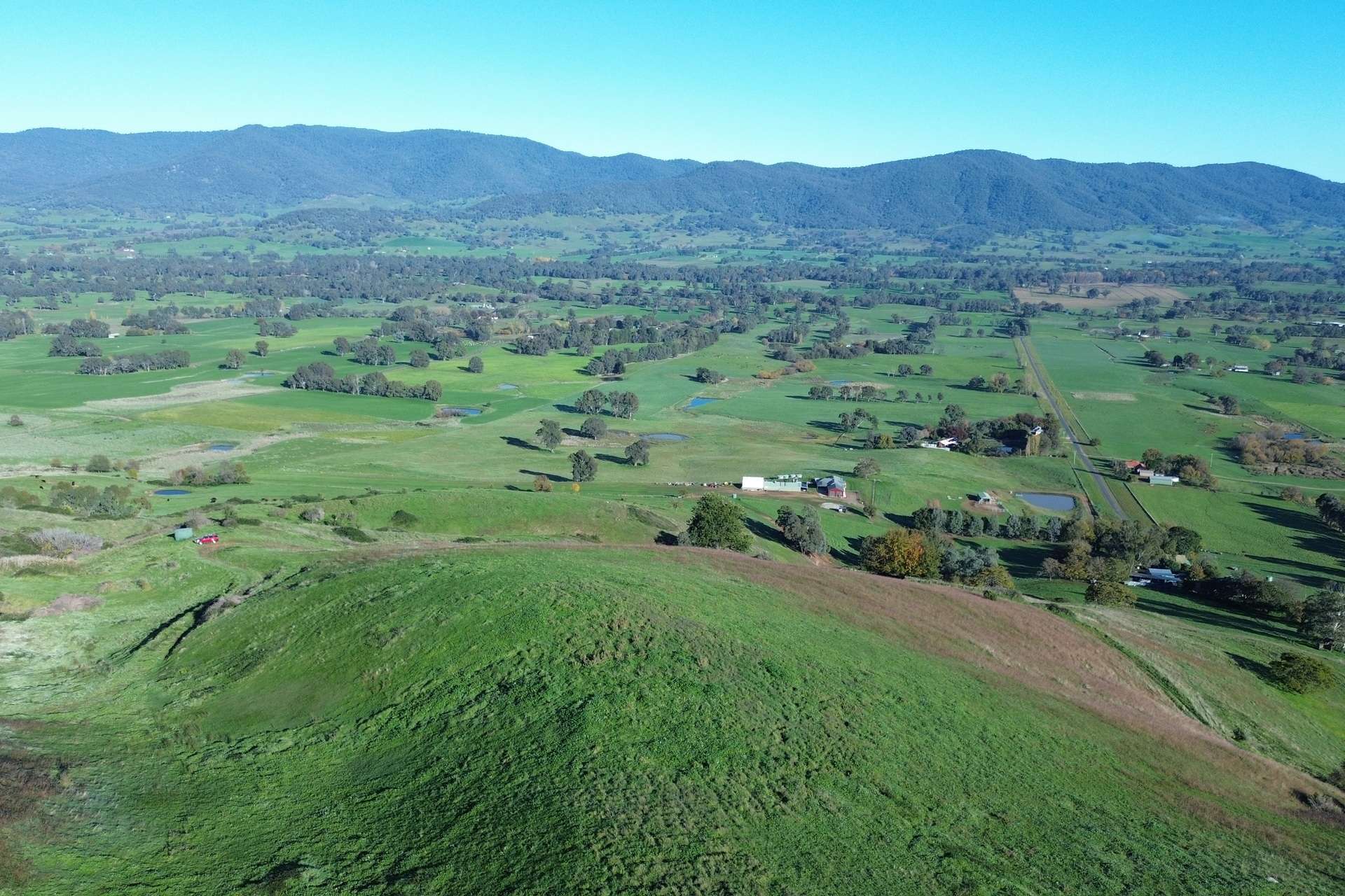 Reid Lane, Gundowring For Sale by Farmbuy.com - image 11