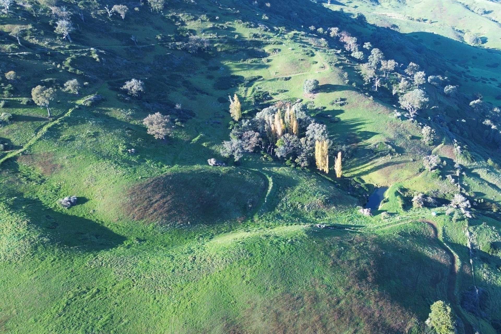 Reid Lane, Gundowring For Sale by Farmbuy.com - image 7