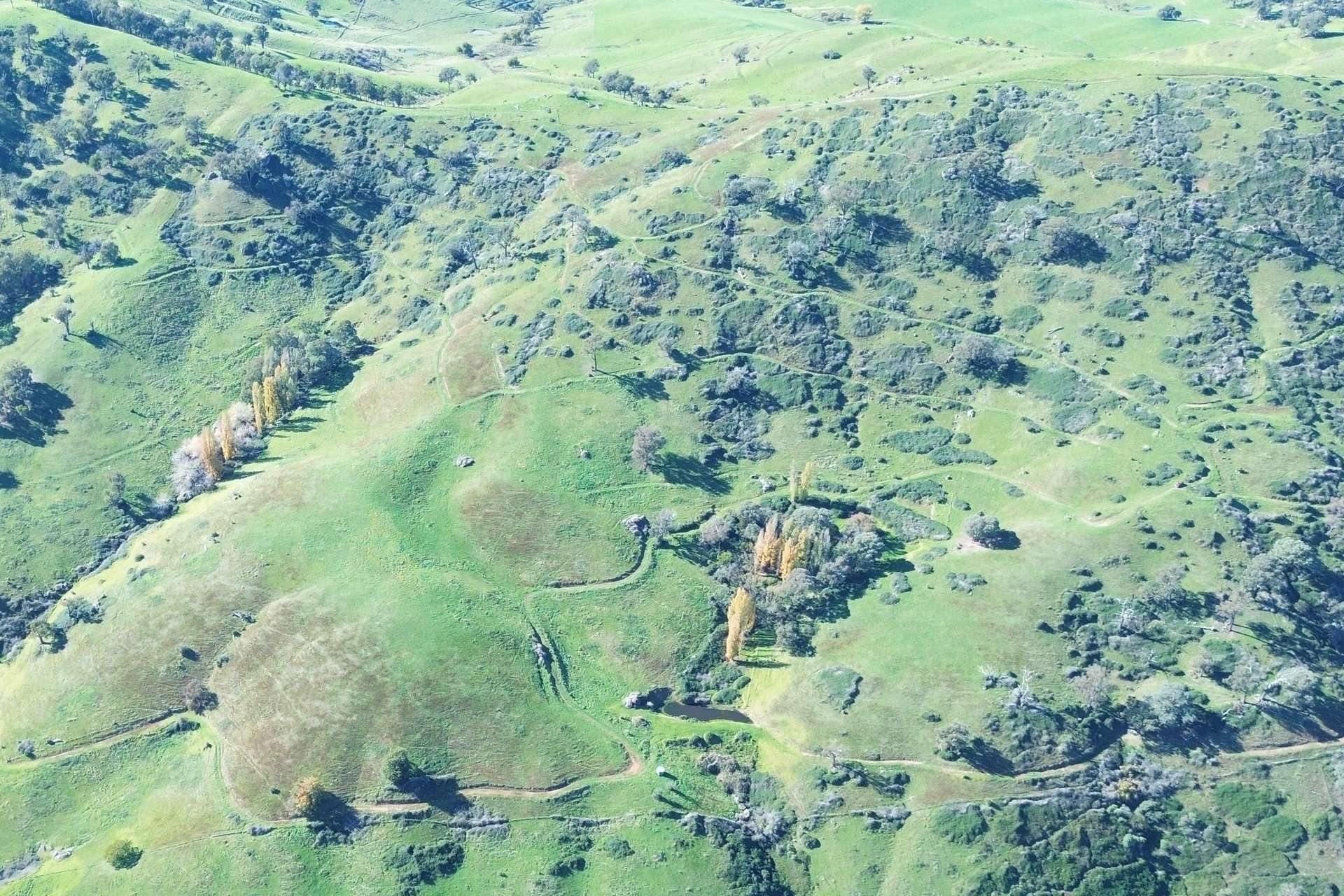 Reid Lane, Gundowring For Sale by Farmbuy.com - image 22