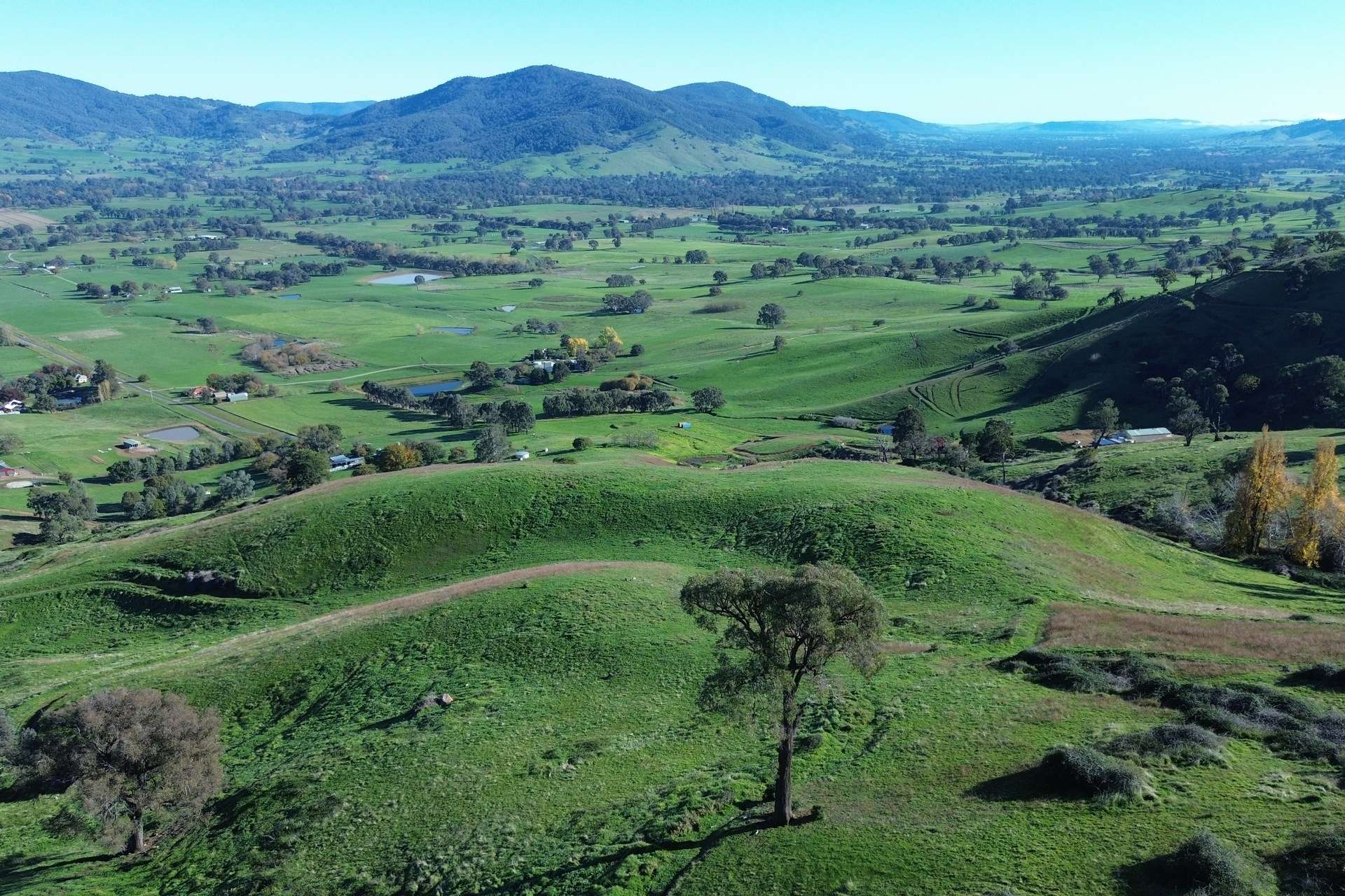 Reid Lane, Gundowring For Sale by Farmbuy.com - image 12