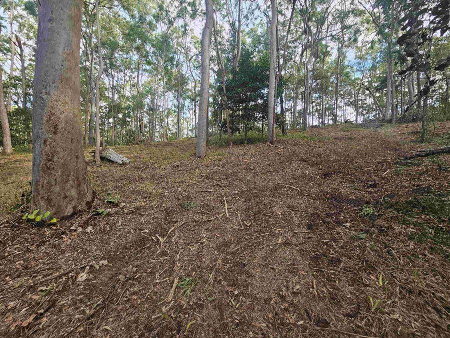 79 Counter Road, Wolvi For Sale by Farmbuy.com - image 4