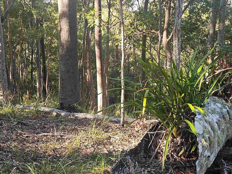 79 Counter Road, Wolvi For Sale by Farmbuy.com - image 10