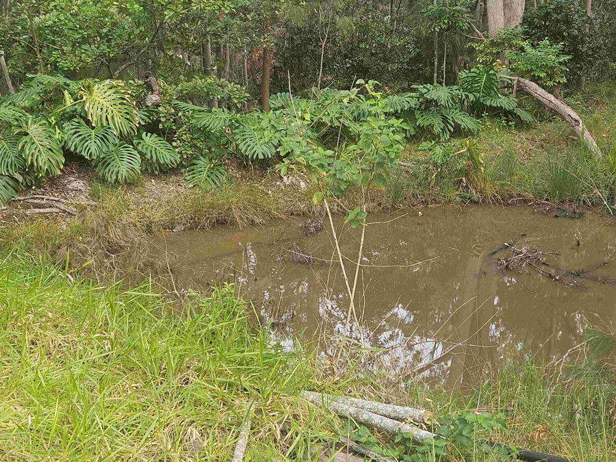 79 Counter Road, Wolvi For Sale by Farmbuy.com - image 8