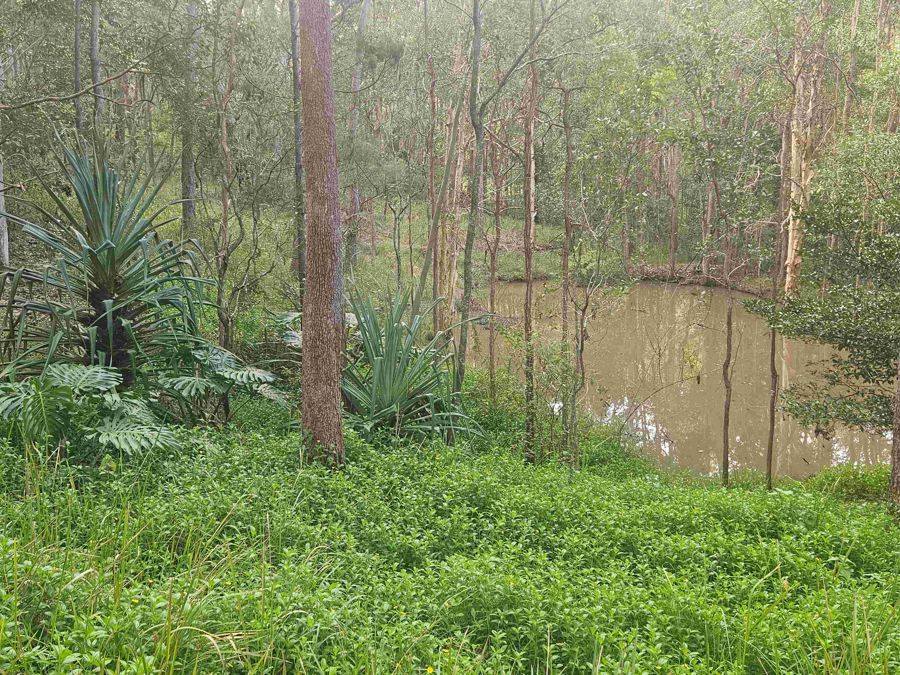 79 Counter Road, Wolvi For Sale by Farmbuy.com - image 7