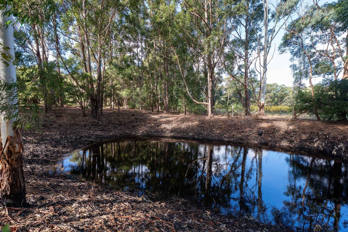 36 Mapstone Road, Margaret River For Sale by Farmbuy.com - image 24