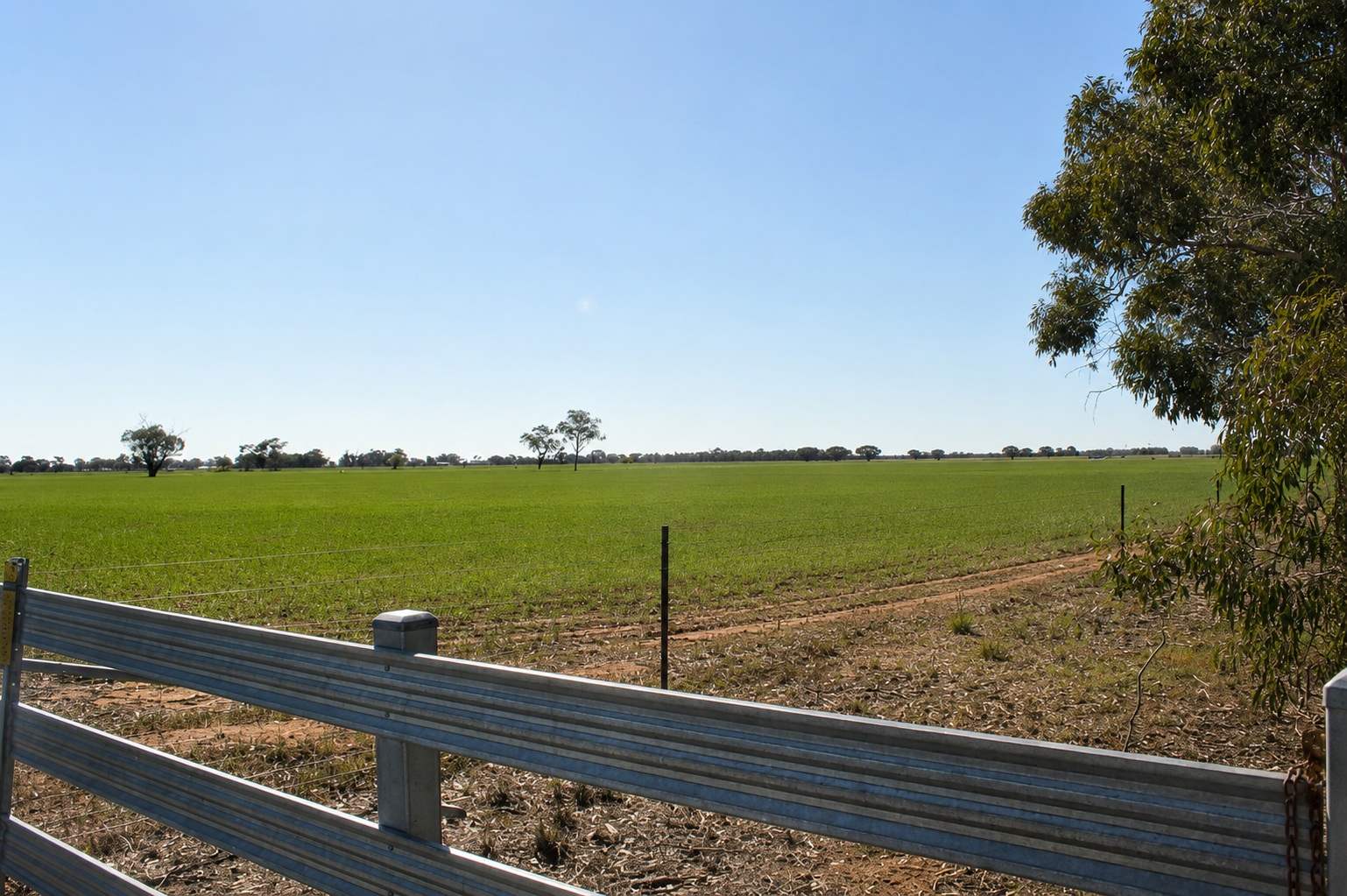 1226 Wilson Road, Tongala For Sale by Farmbuy.com - image 3