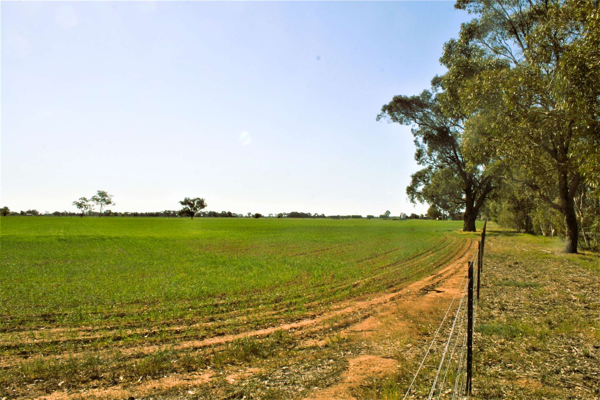1226 Wilson Road, Tongala For Sale by Farmbuy.com - image 18