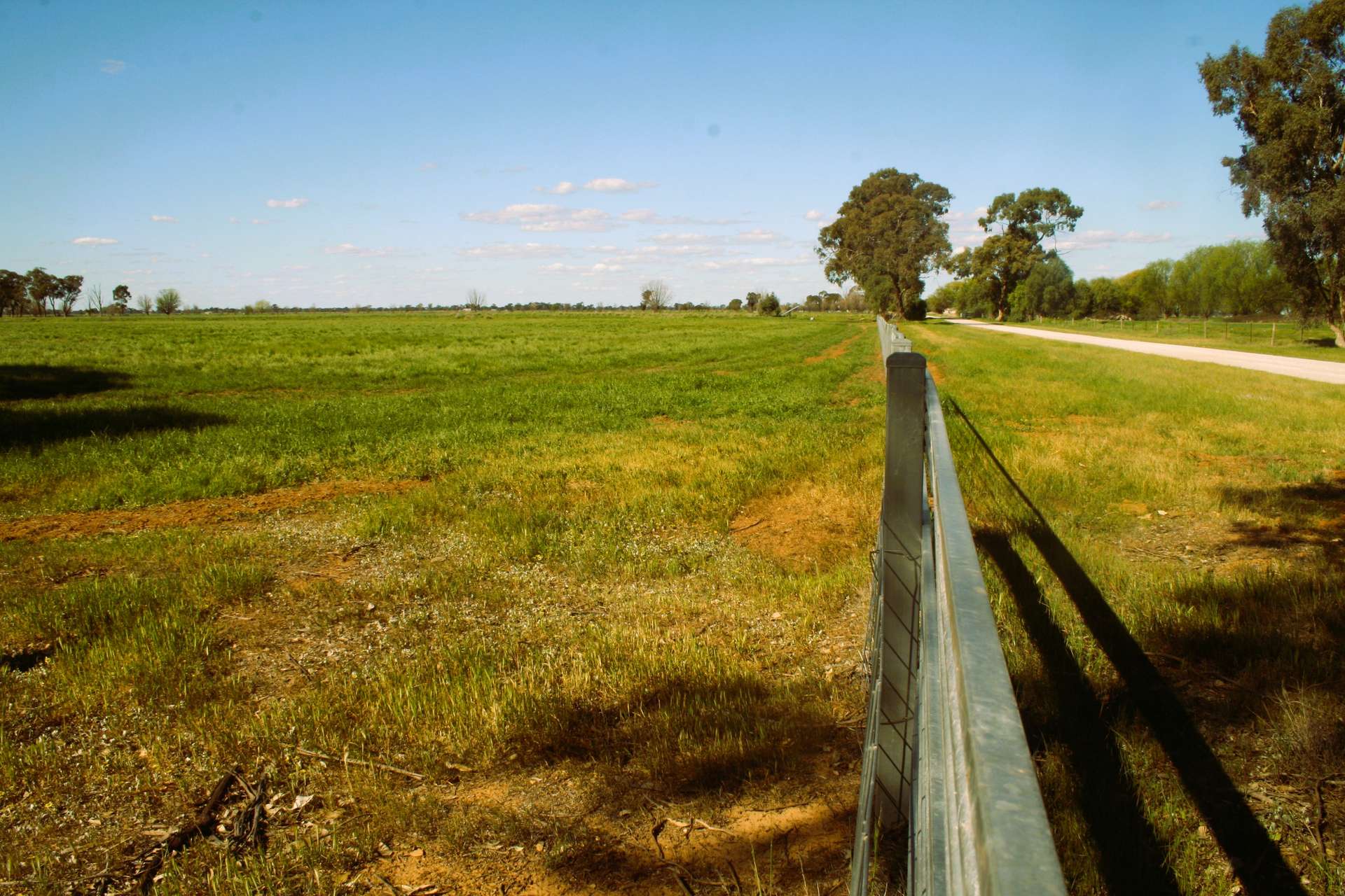 1226 Wilson Road, Tongala For Sale by Farmbuy.com - image 19