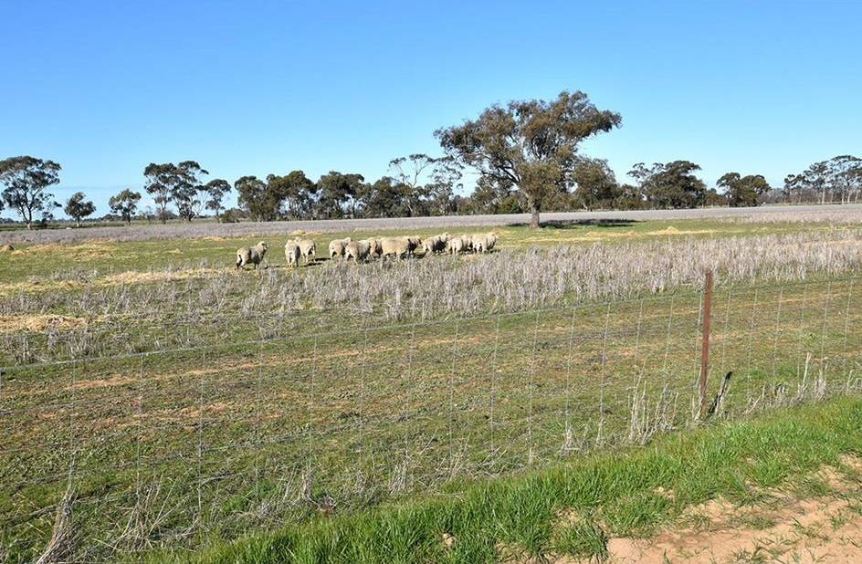 1226 Wilson Road, Tongala For Sale by Farmbuy.com - image 17