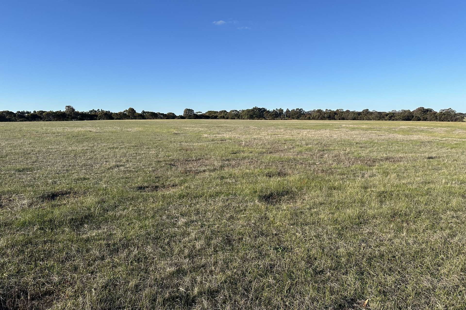 Lot 379,  Spencer Road, Broomehill Village For Sale by Farmbuy.com - image 2
