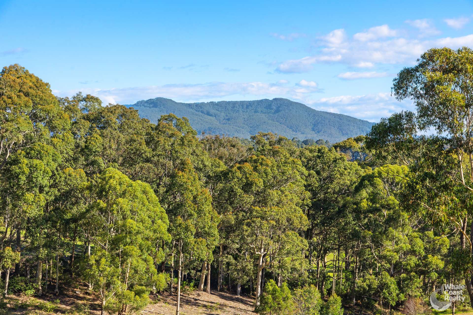 28 Old South Coast Road, Narooma For Sale by Farmbuy.com - image 5