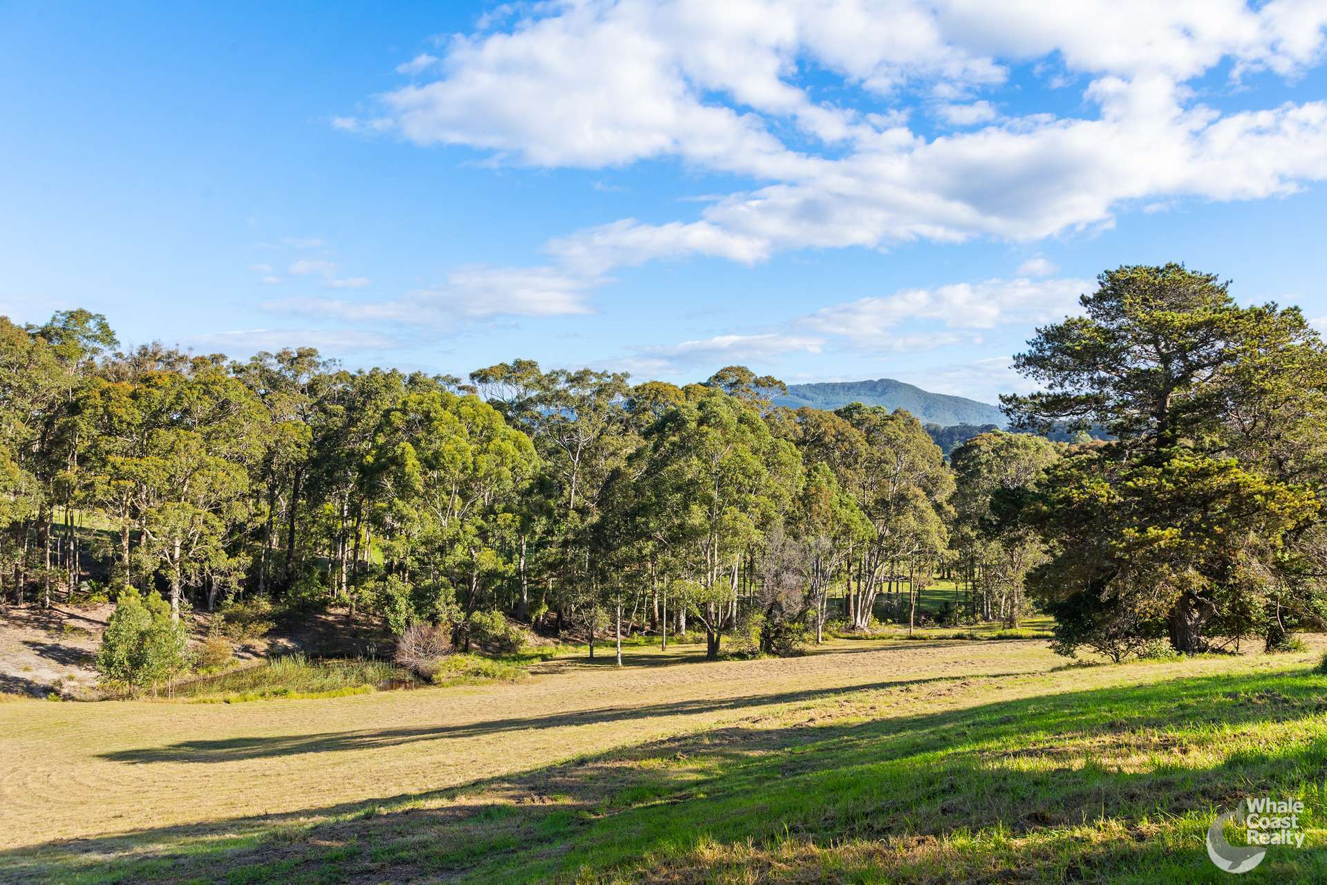 28 Old South Coast Road, Narooma For Sale by Farmbuy.com - image 7