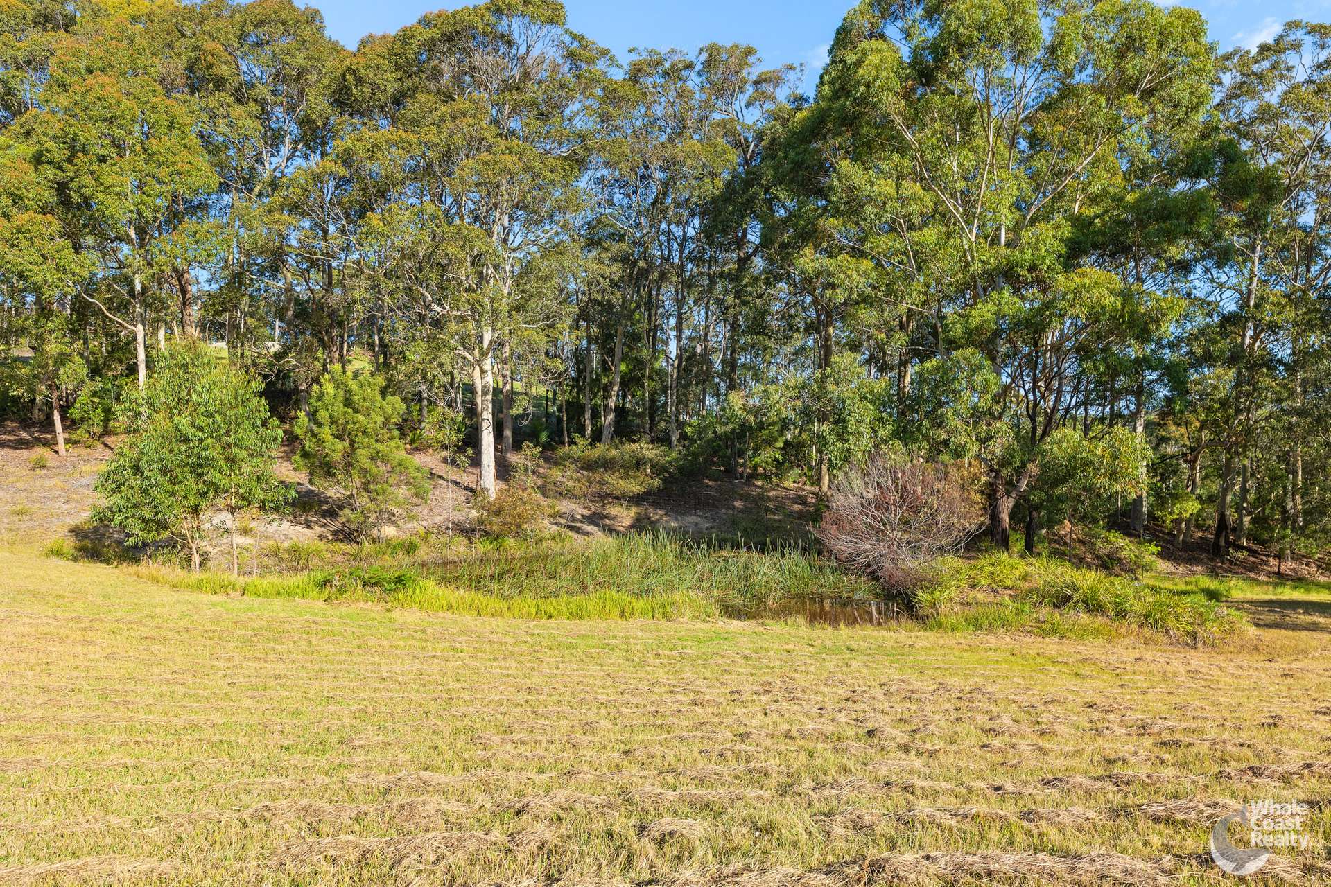28 Old South Coast Road, Narooma For Sale by Farmbuy.com - image 9