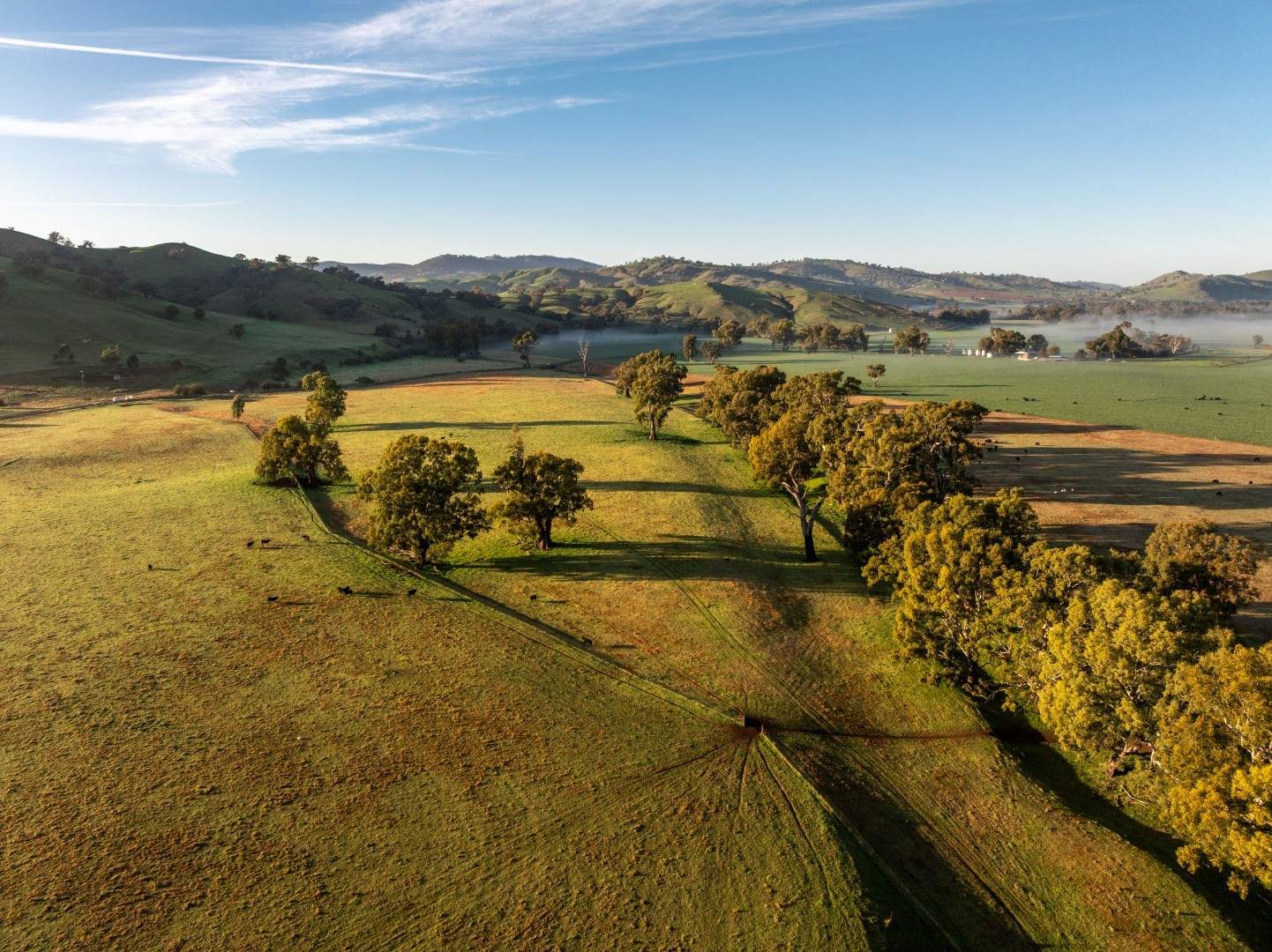 741 Darbalara Road, Coolac Auction by Farmbuy.com - image 11