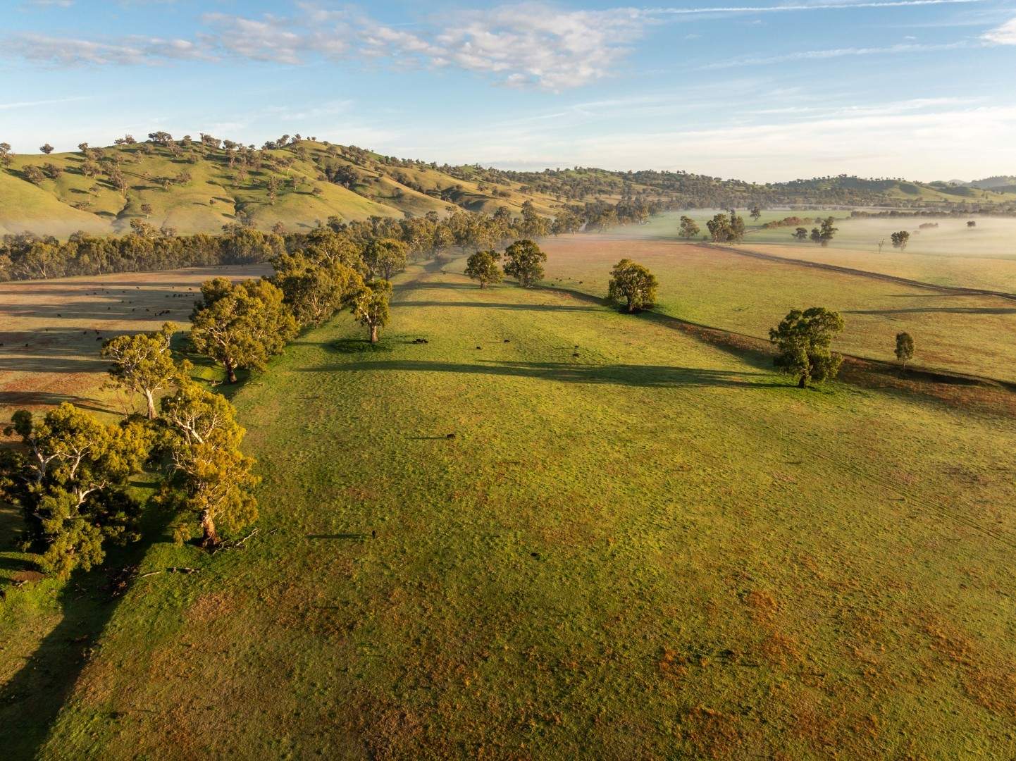 741 Darbalara Road, Coolac Auction by Farmbuy.com - image 2