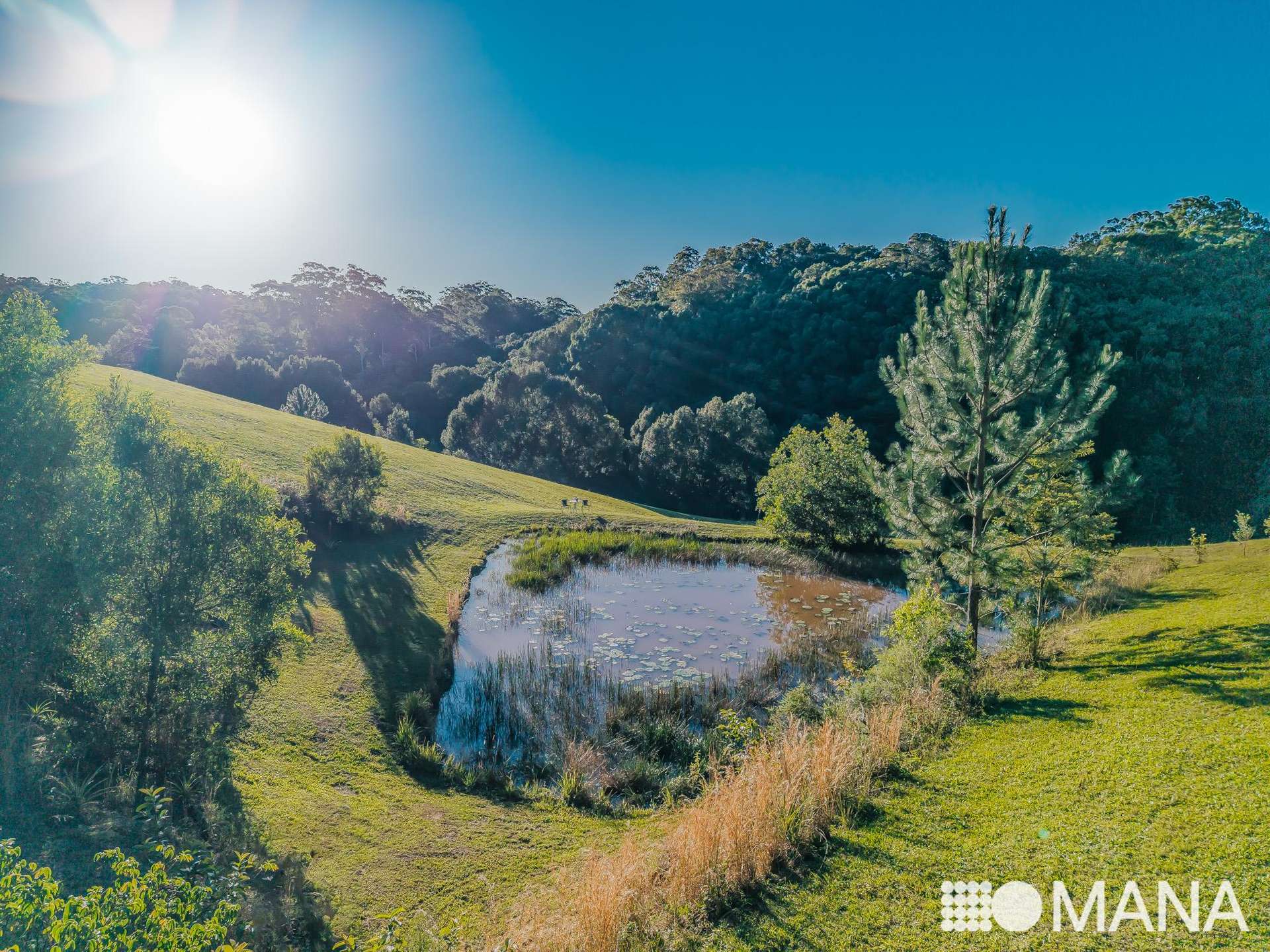 25 Barlee Drive, Fernvale For Sale by Farmbuy.com - image 4