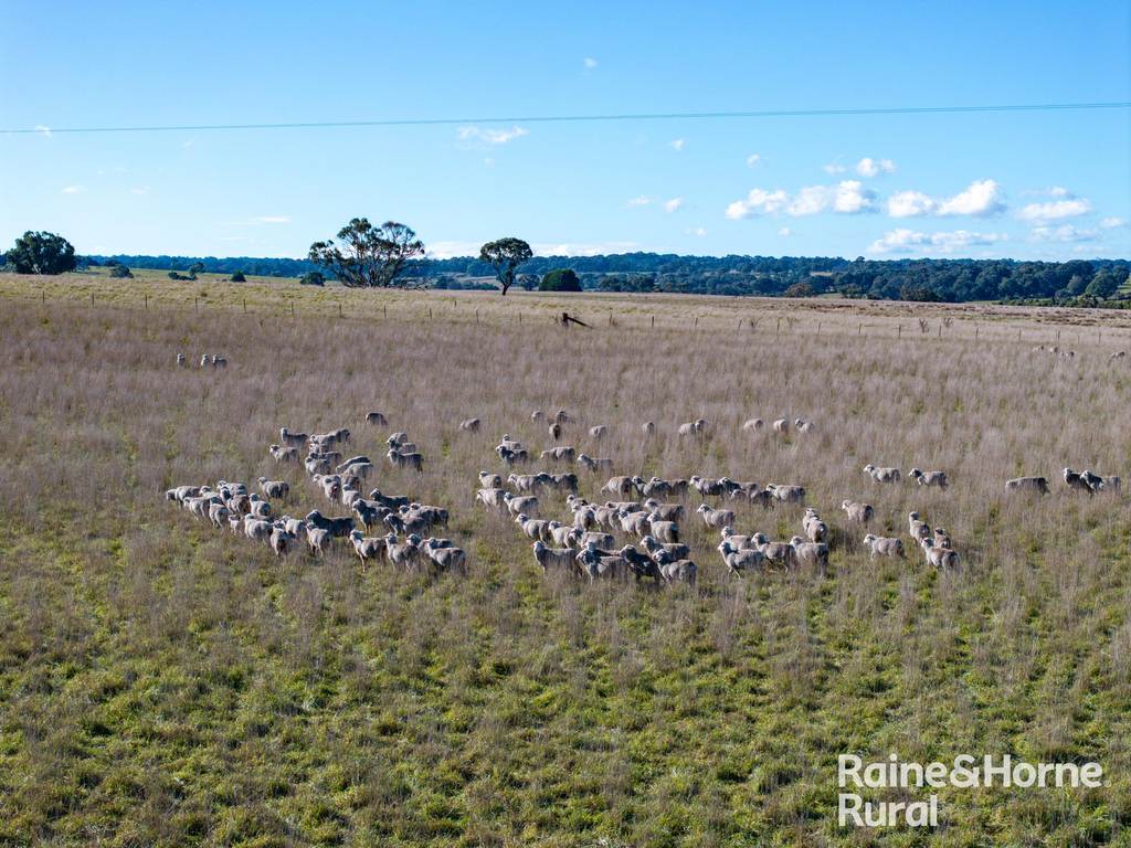 3150 Range Road, Bannister NSW 2580