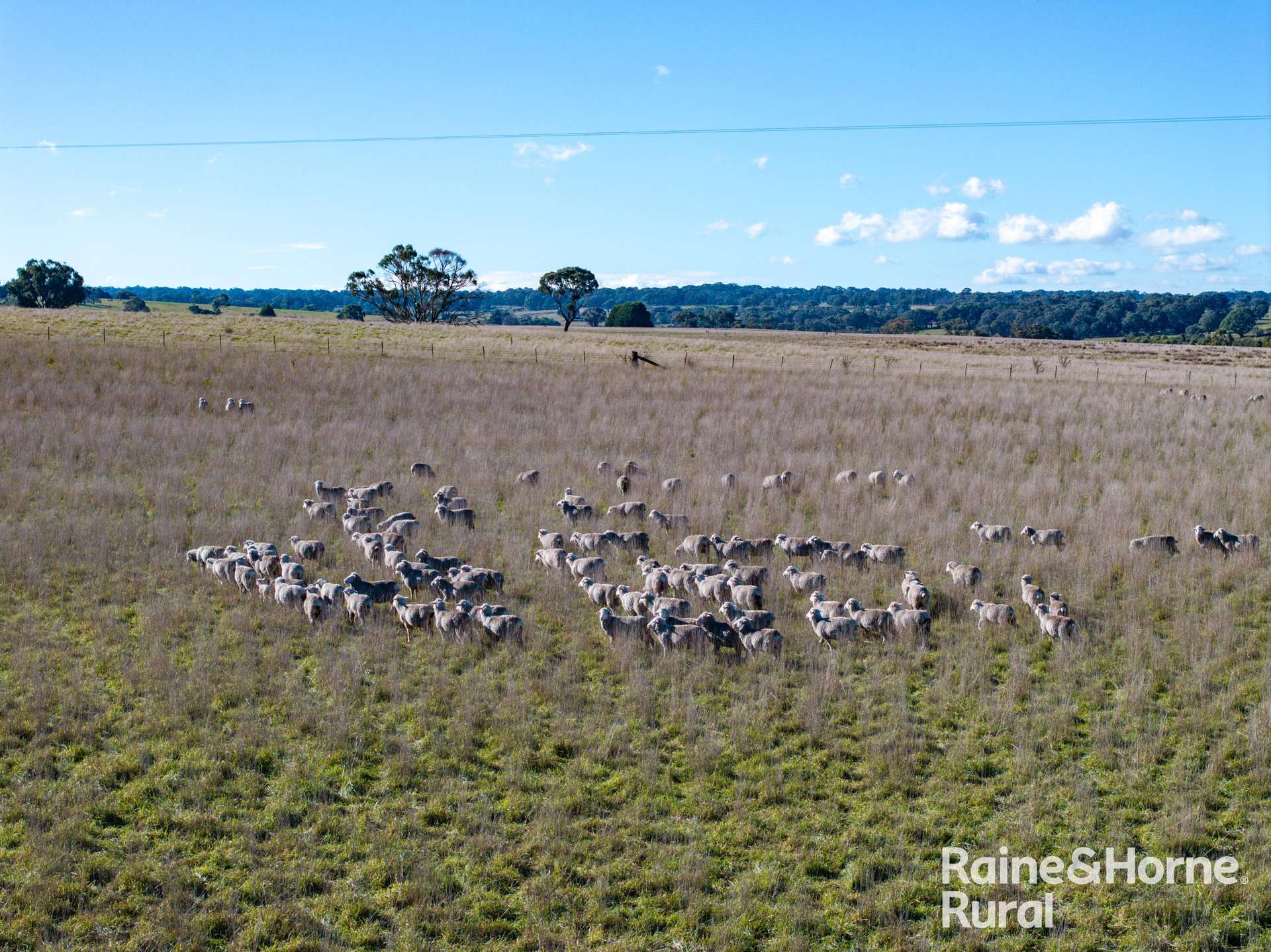 3150 Range Road, Bannister For Sale by Farmbuy.com - image 1