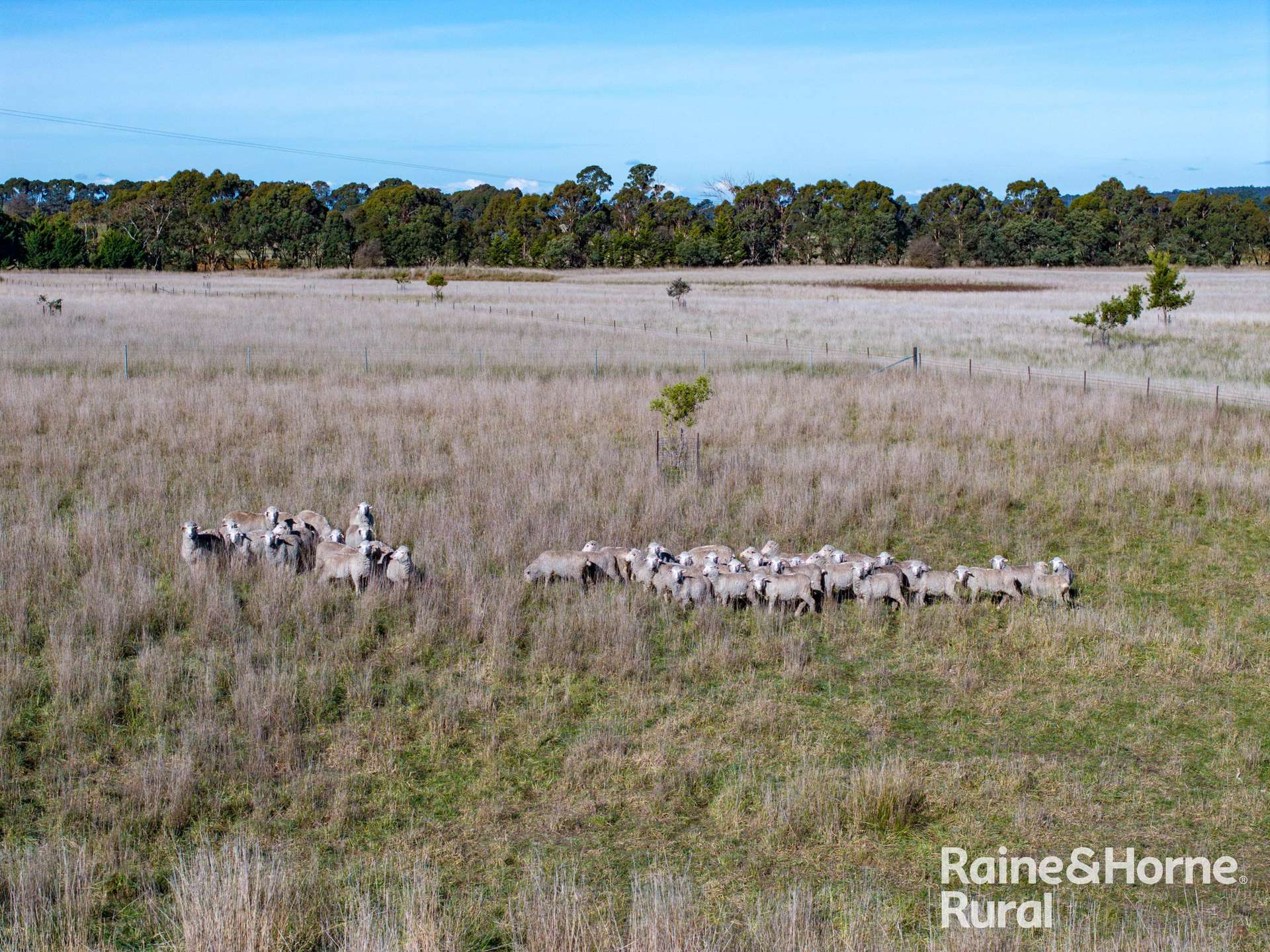 3150 Range Road, Bannister For Sale by Farmbuy.com - image 5