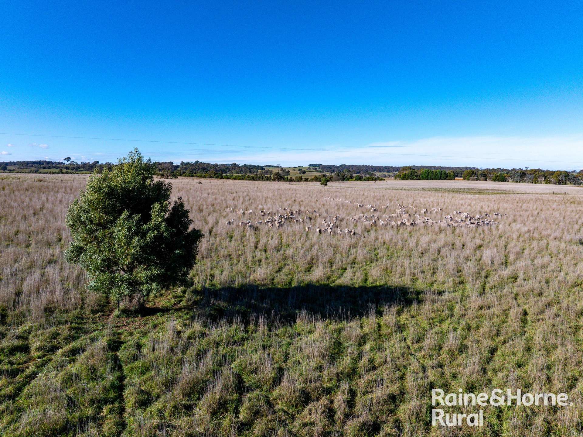 3150 Range Road, Bannister For Sale by Farmbuy.com - image 2