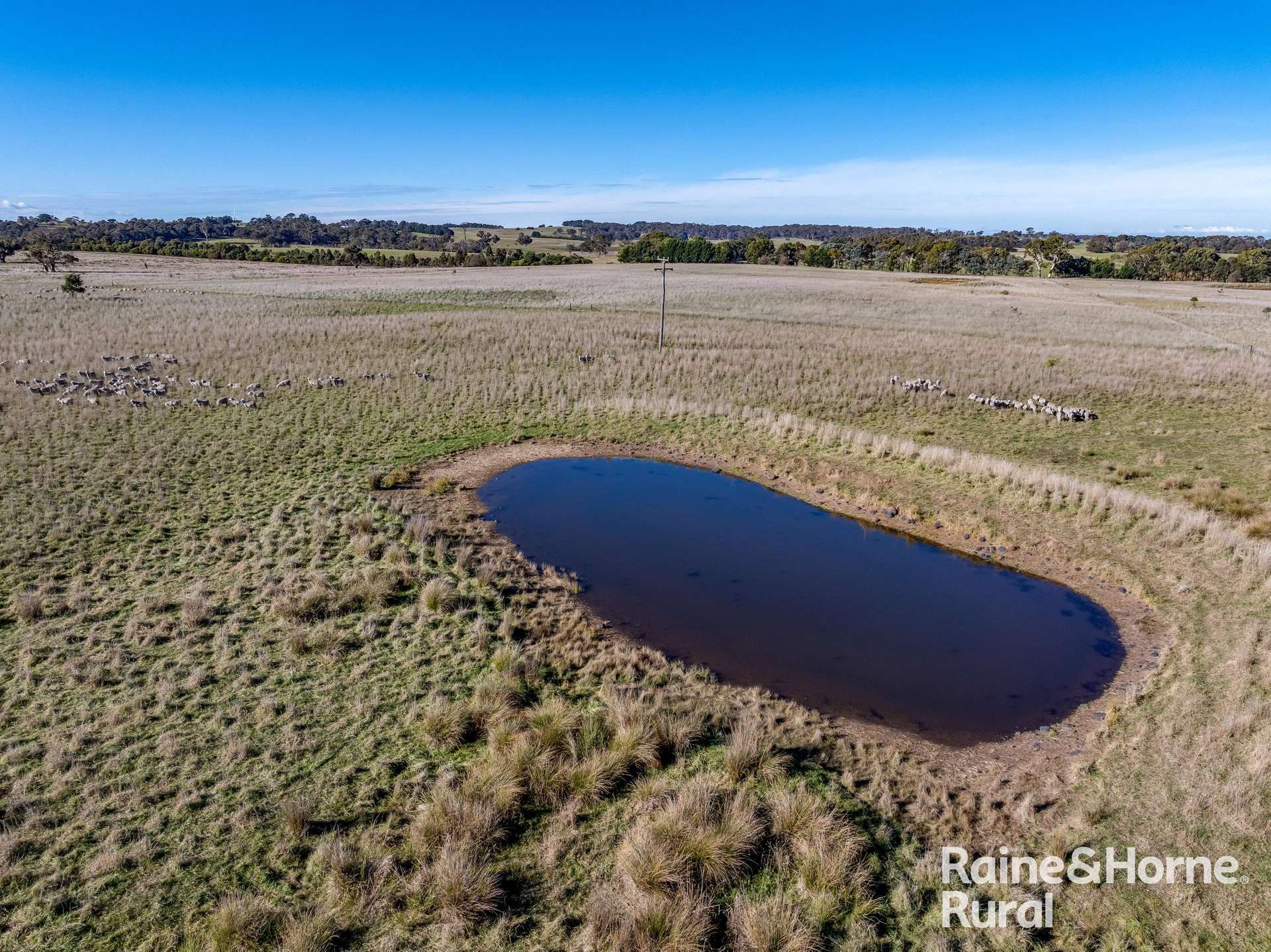 3150 Range Road, Bannister For Sale by Farmbuy.com - image 3