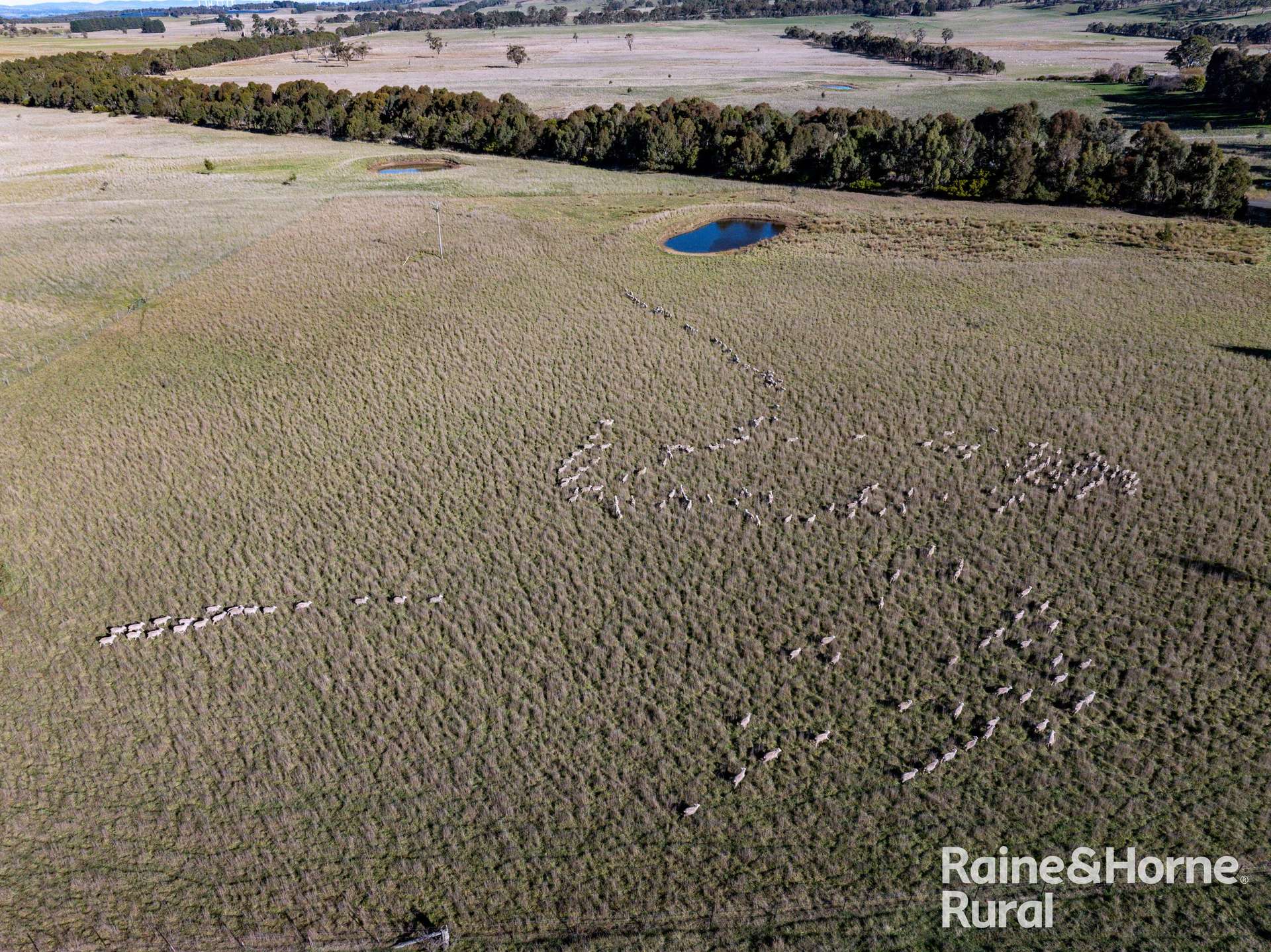 3150 Range Road, Bannister For Sale by Farmbuy.com - image 6