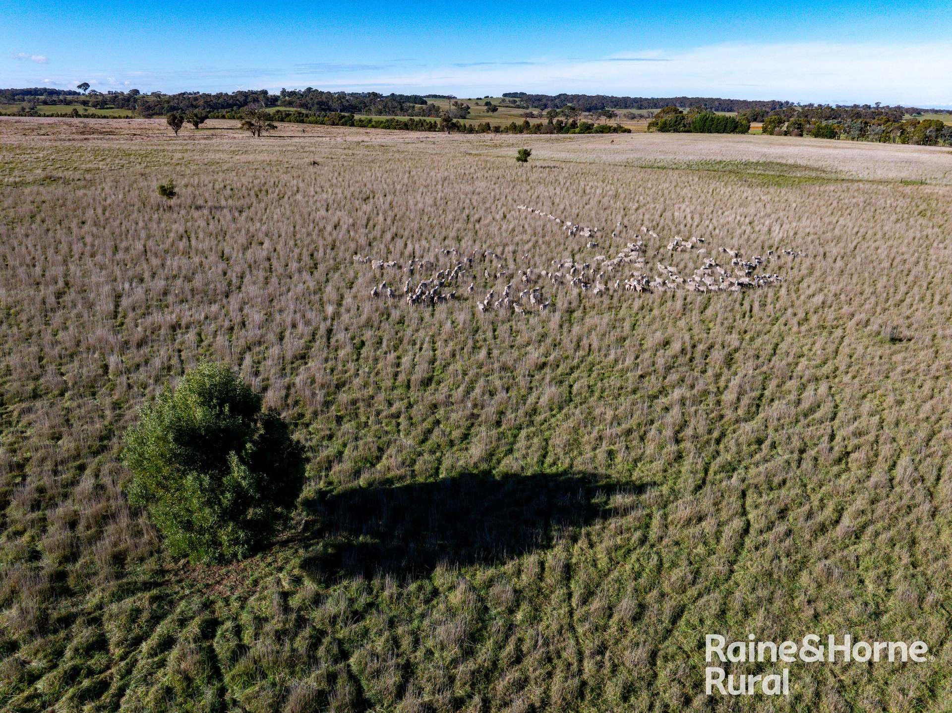 3150 Range Road, Bannister For Sale by Farmbuy.com - image 4
