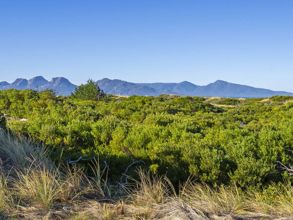 830 Dolphin Sands Road, Dolphin Sands TAS 7190