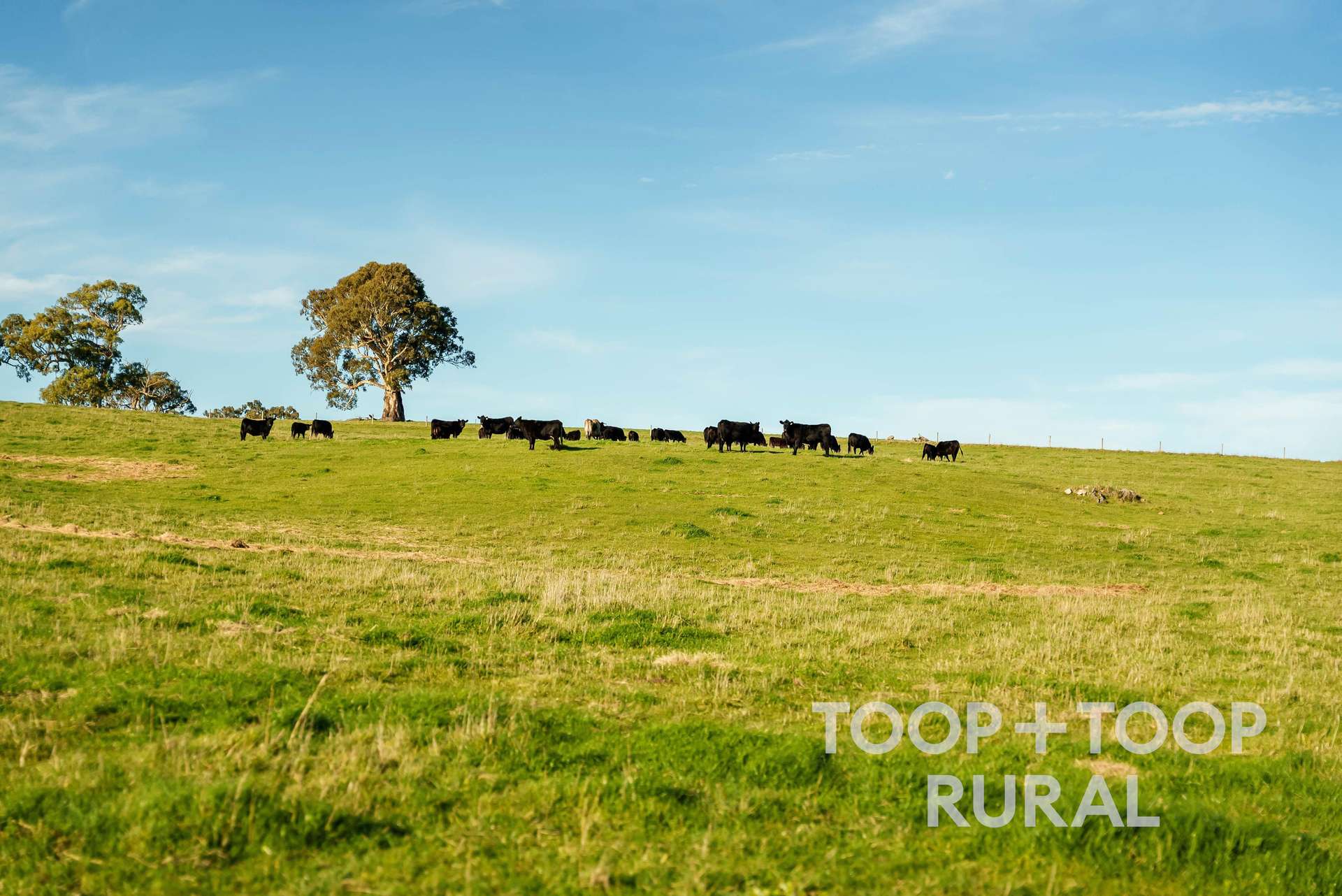 Lot Lot, 197 Craneford Road, Flaxman Valley For Sale by Farmbuy.com - image 19