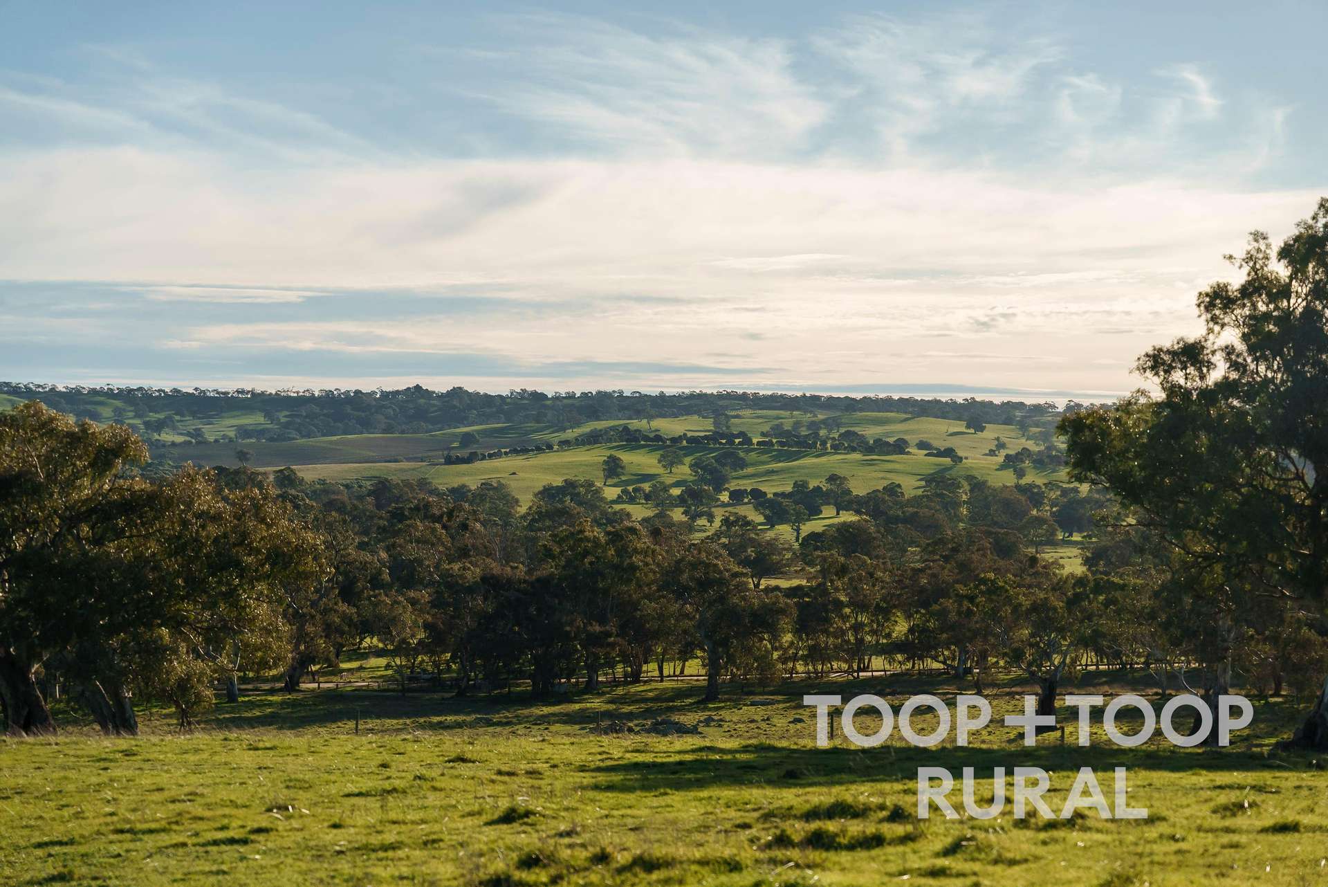 Lot Lot, 197 Craneford Road, Flaxman Valley For Sale by Farmbuy.com - image 9
