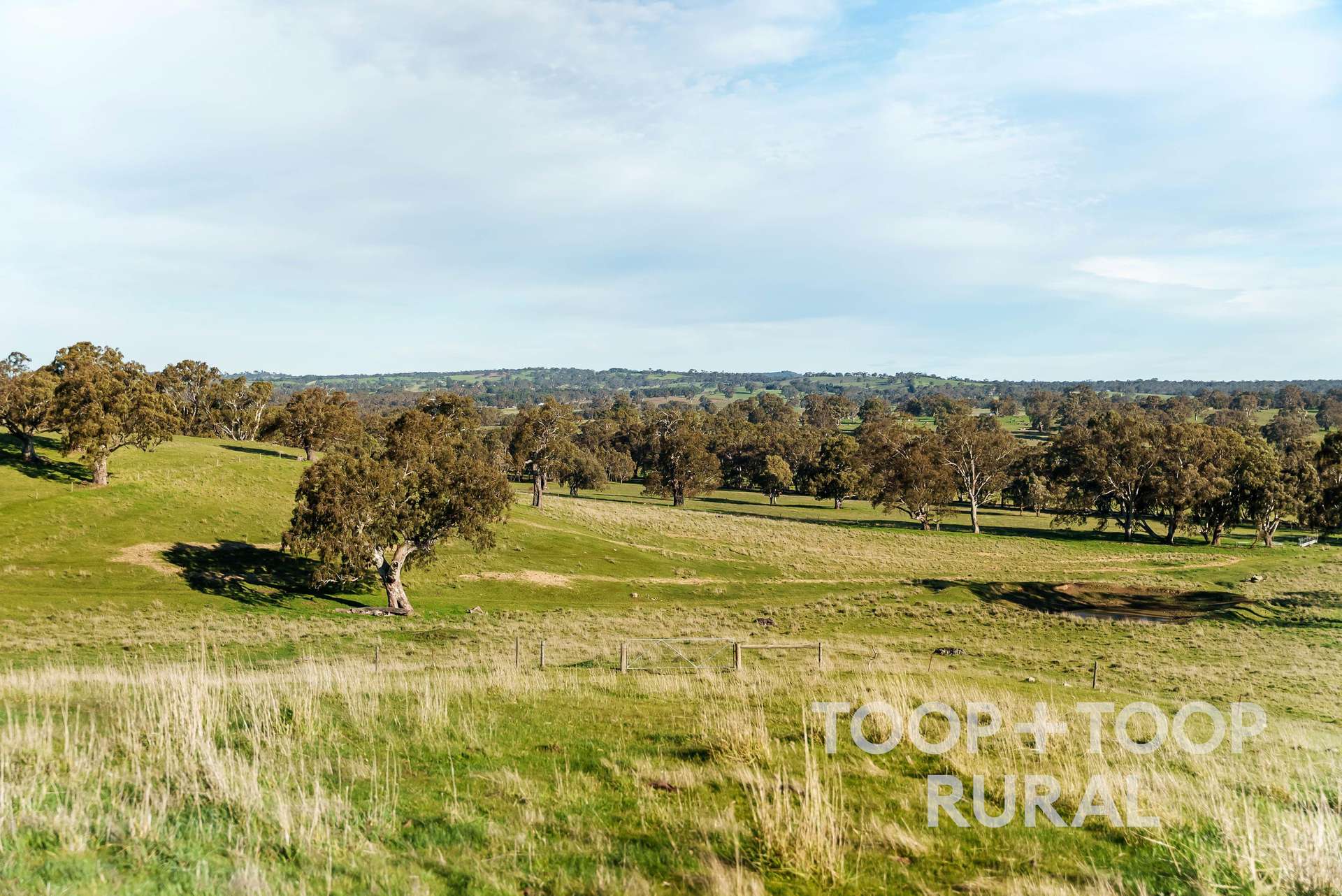 Lot Lot, 197 Craneford Road, Flaxman Valley For Sale by Farmbuy.com - image 12