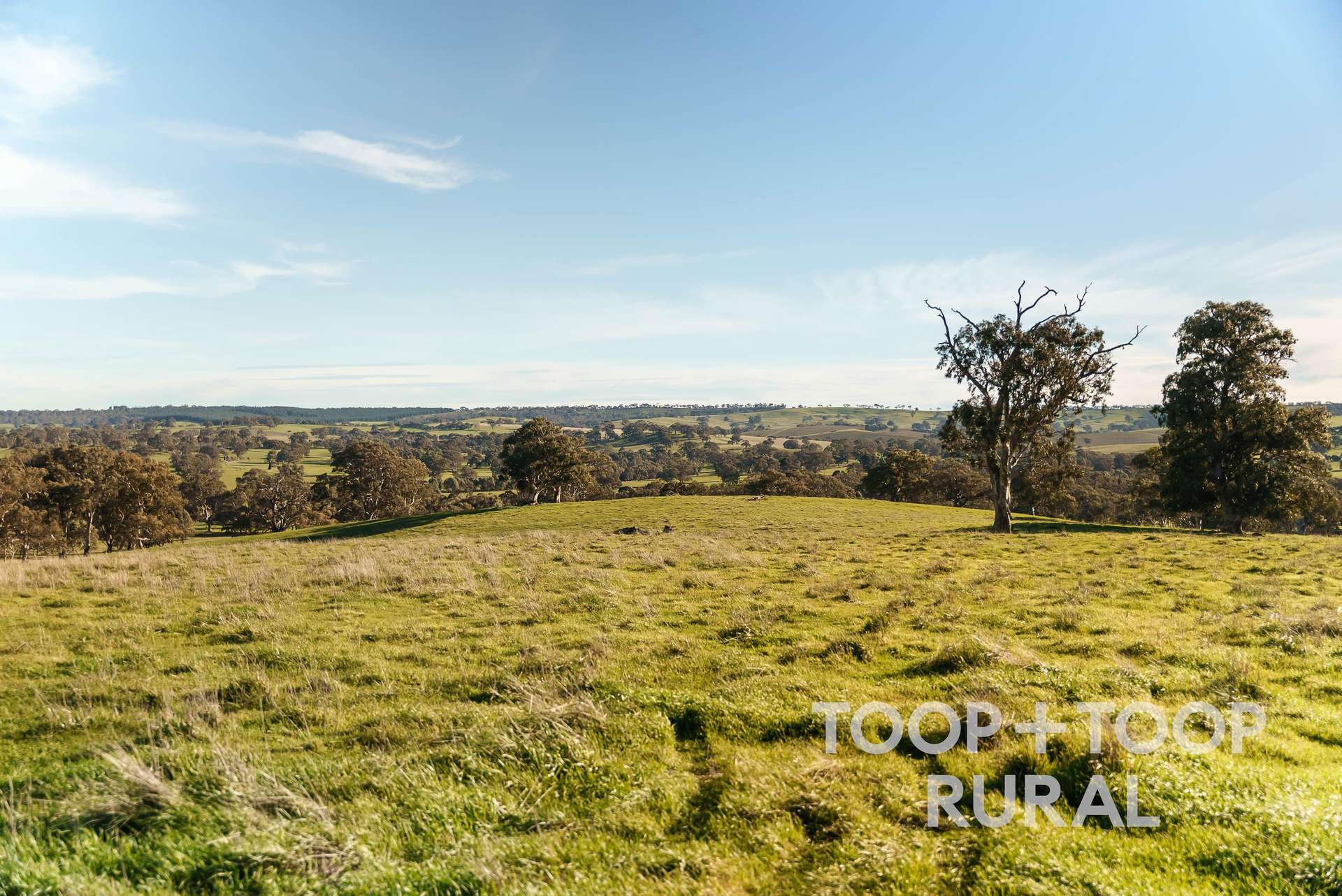 Lot Lot, 197 Craneford Road, Flaxman Valley For Sale by Farmbuy.com - image 21