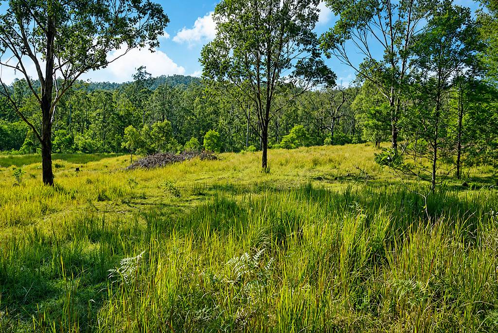 Lot 105 97 Long Gully Road, Drake NSW 2469