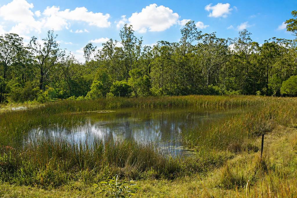 Lot 105 97 Long Gully Road, Drake NSW 2469