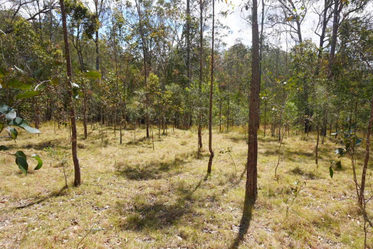 Lot 105 97 Long Gully Road, Drake For Sale by Farmbuy.com - image 23