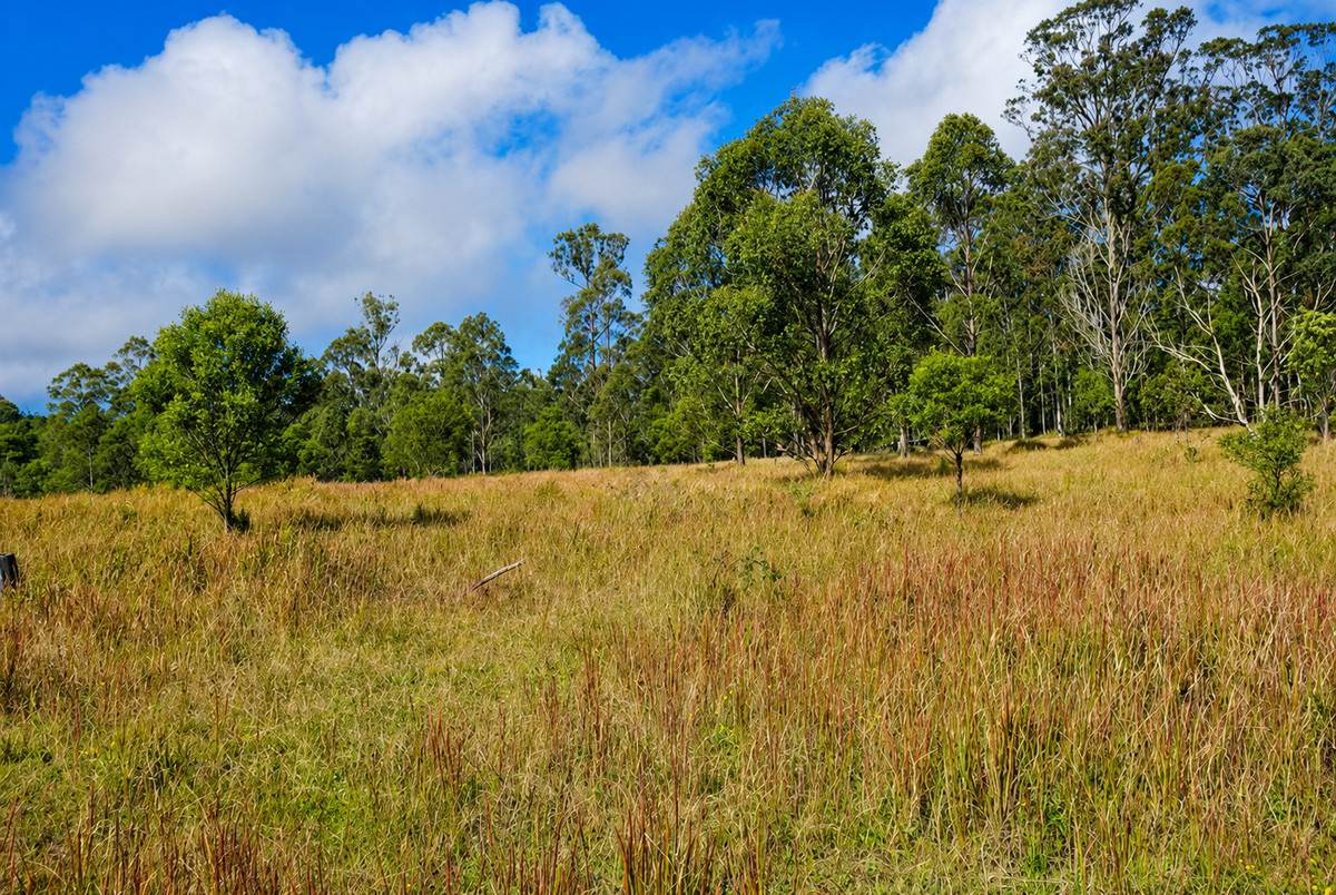 Lot 105 97 Long Gully Road, Drake For Sale by Farmbuy.com - image 3